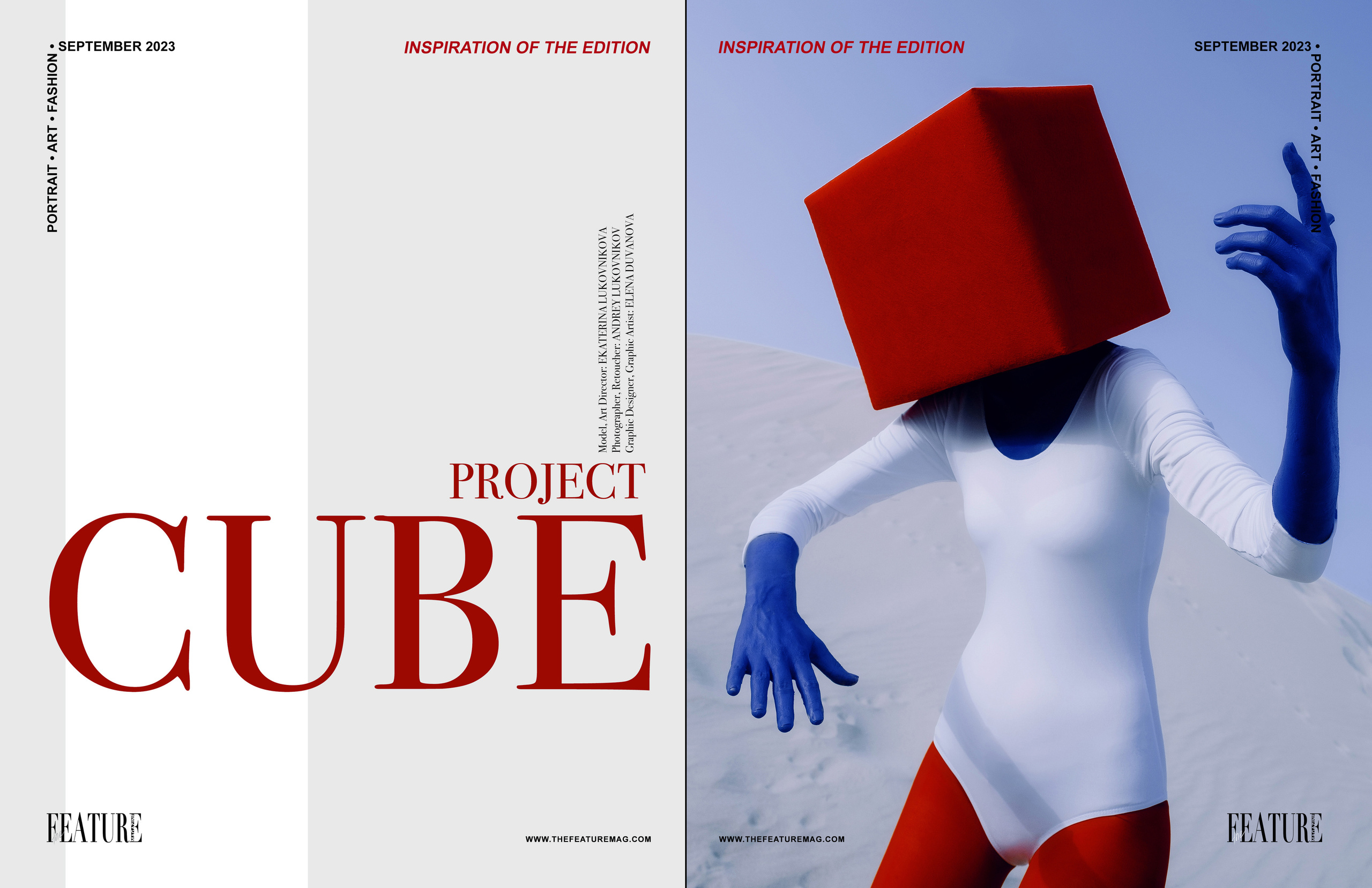 The best publications of the Project Cube