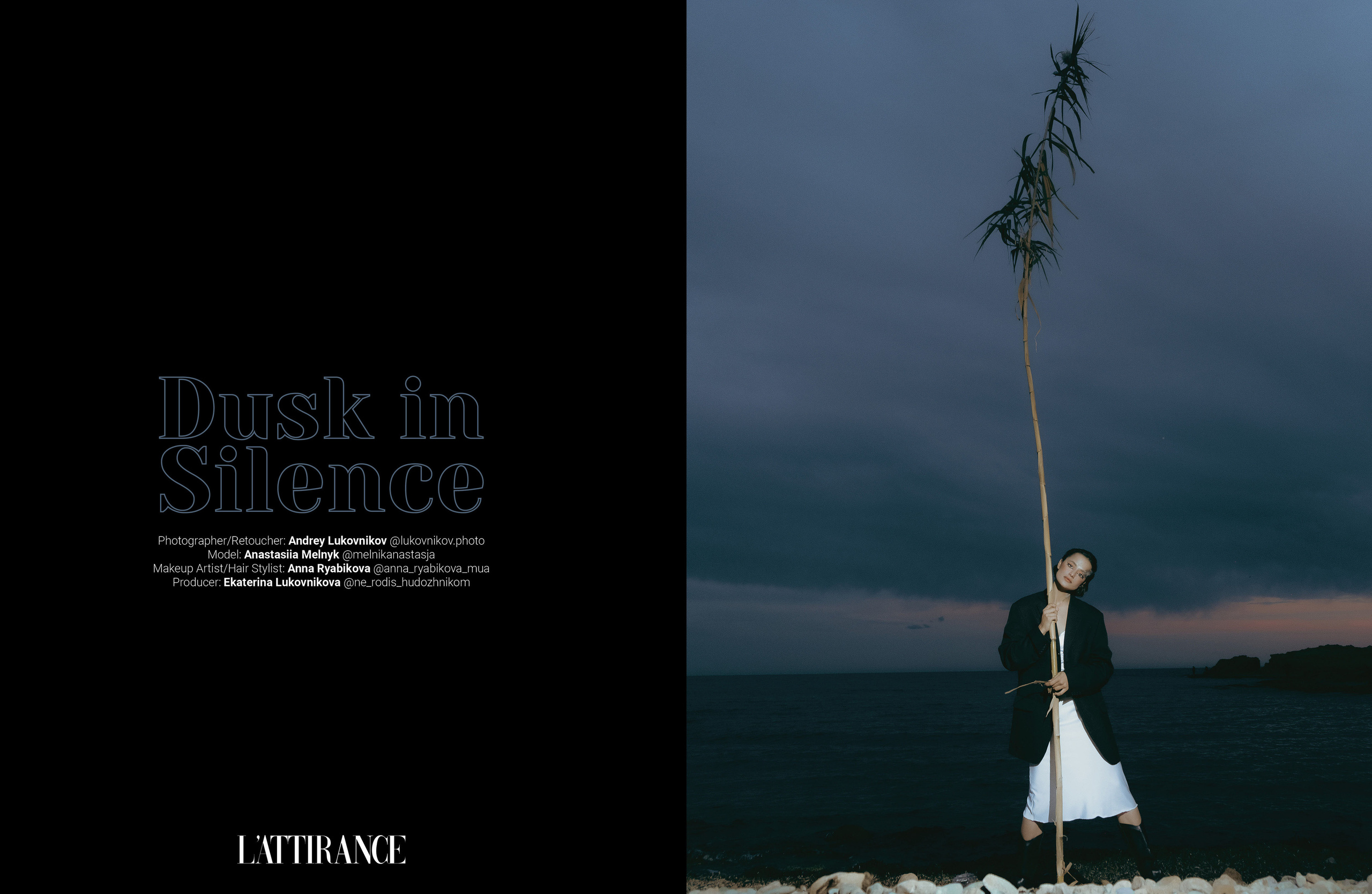 The best publications of the project Dusk in Silence