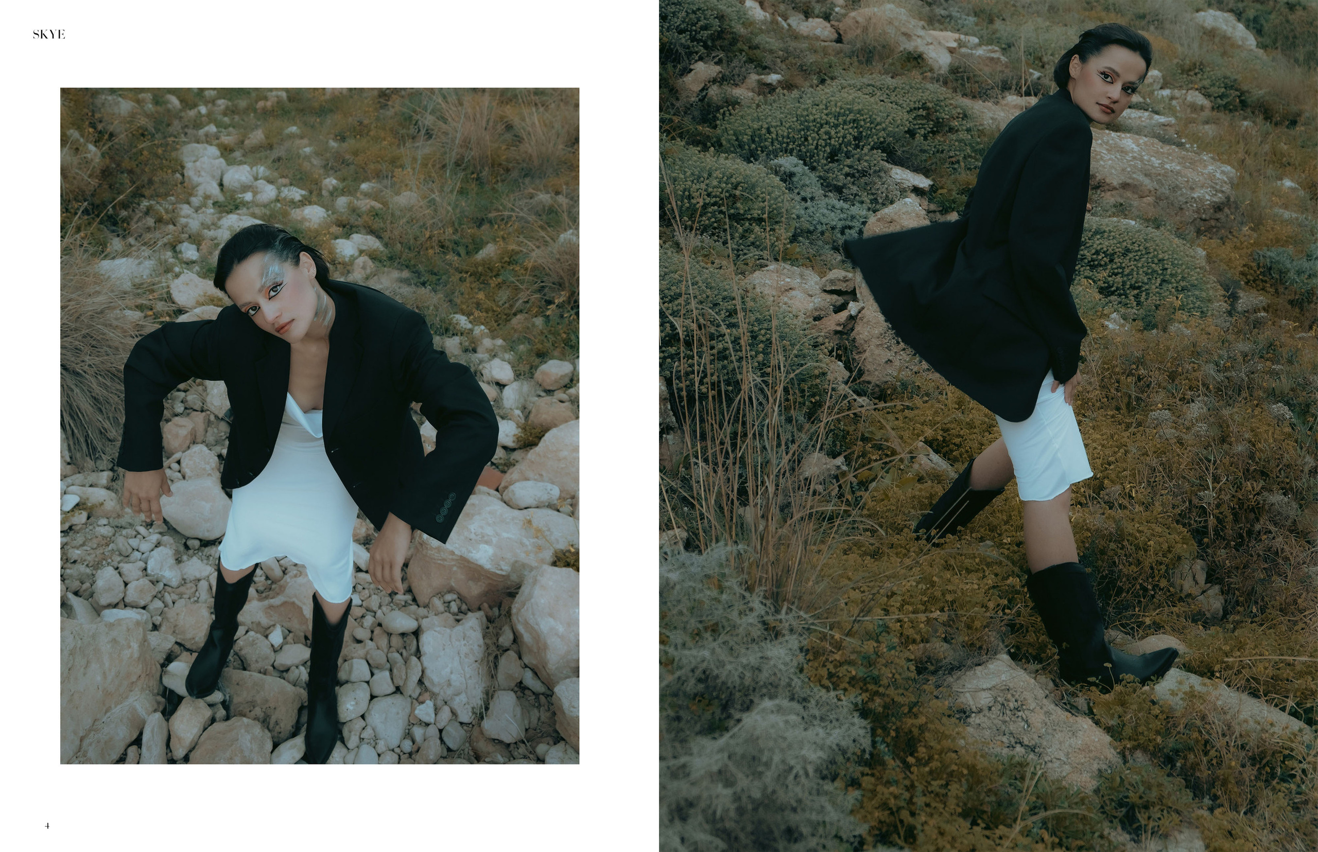 The best publications of the project Dusk in Silence