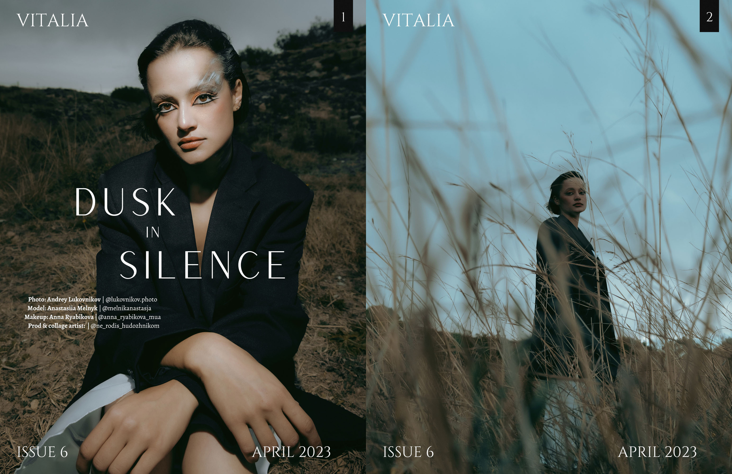 The best publications of the project Dusk in Silence