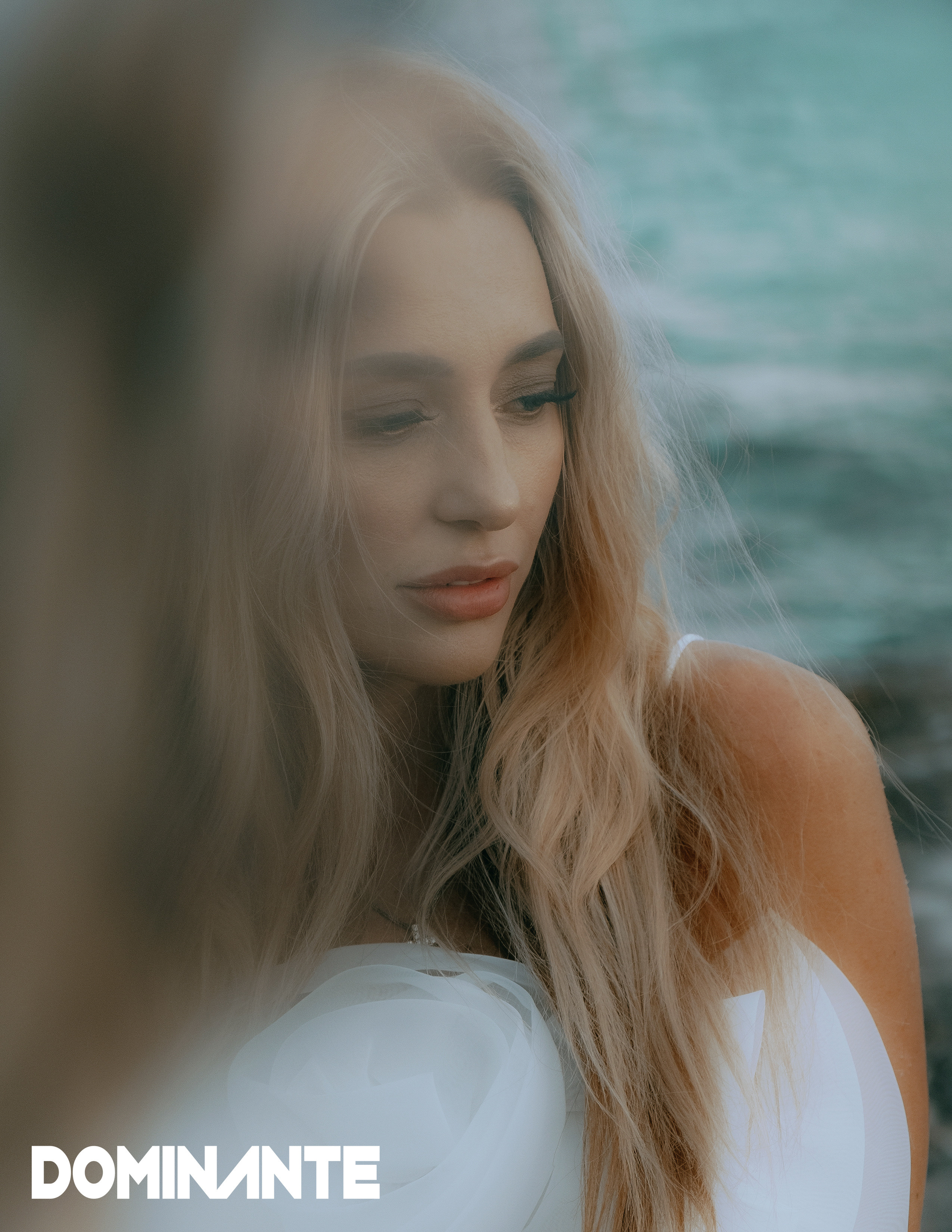 The best publications of the project Verona Bel