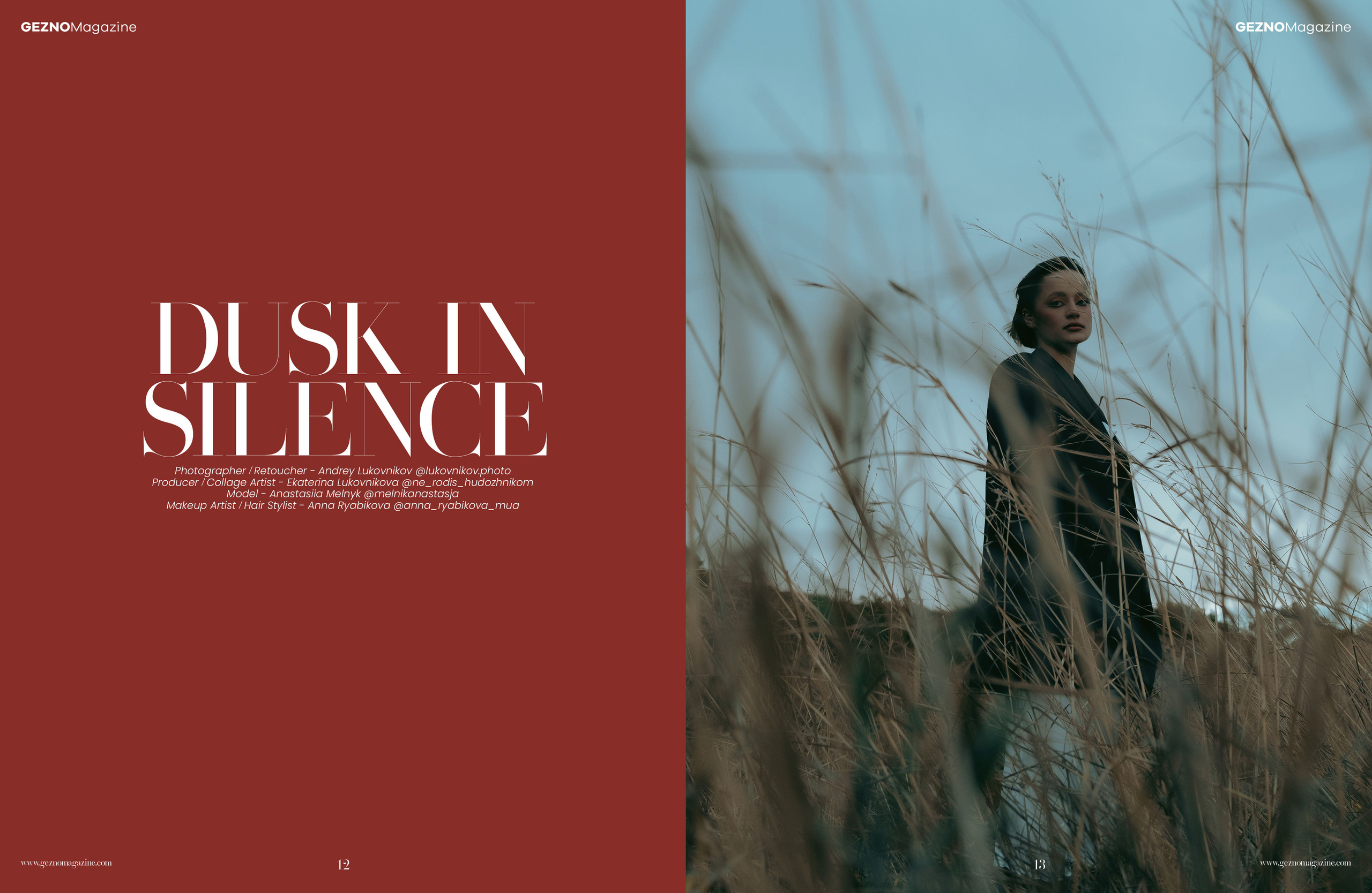 The best publications of the project Dusk in Silence