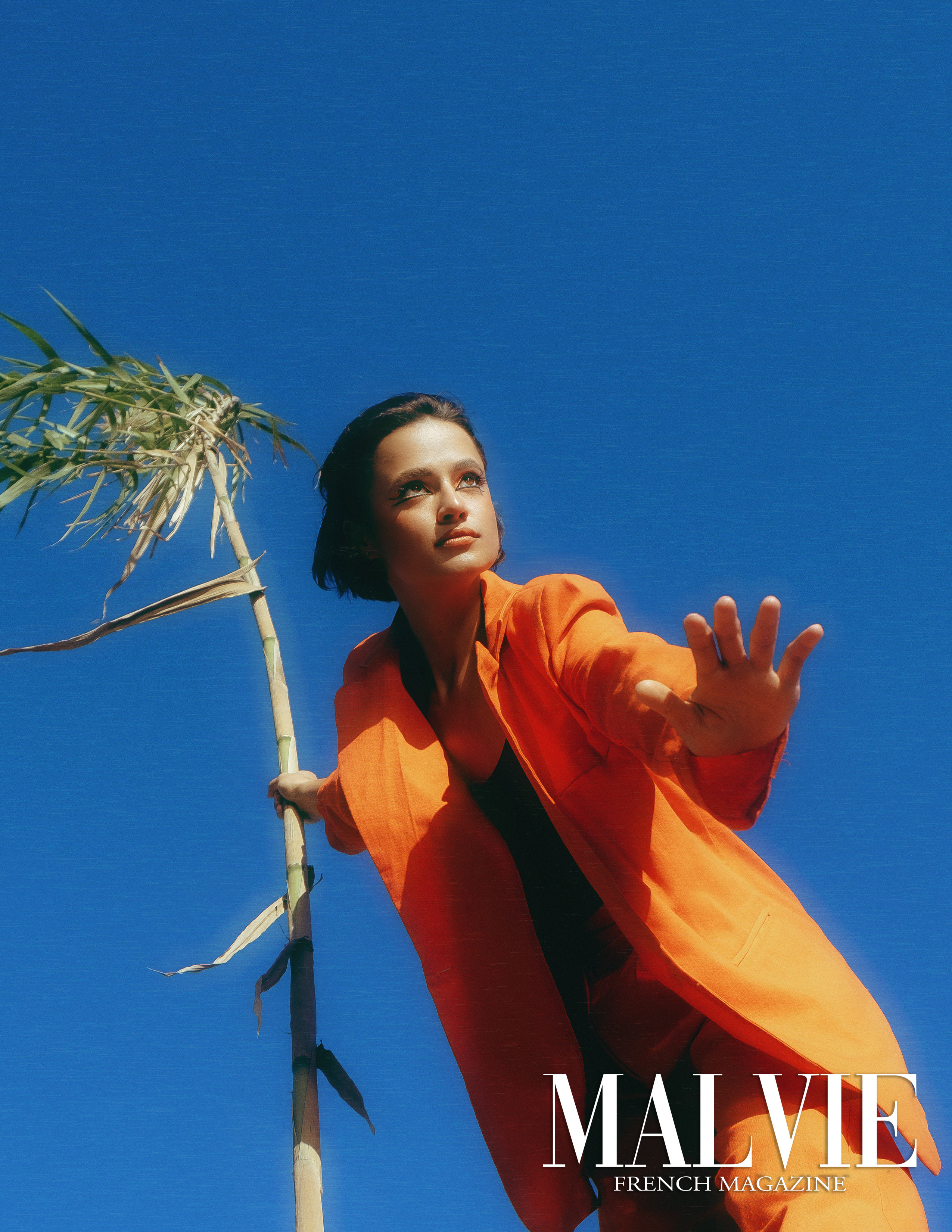 The best publications of the project Orange Orange