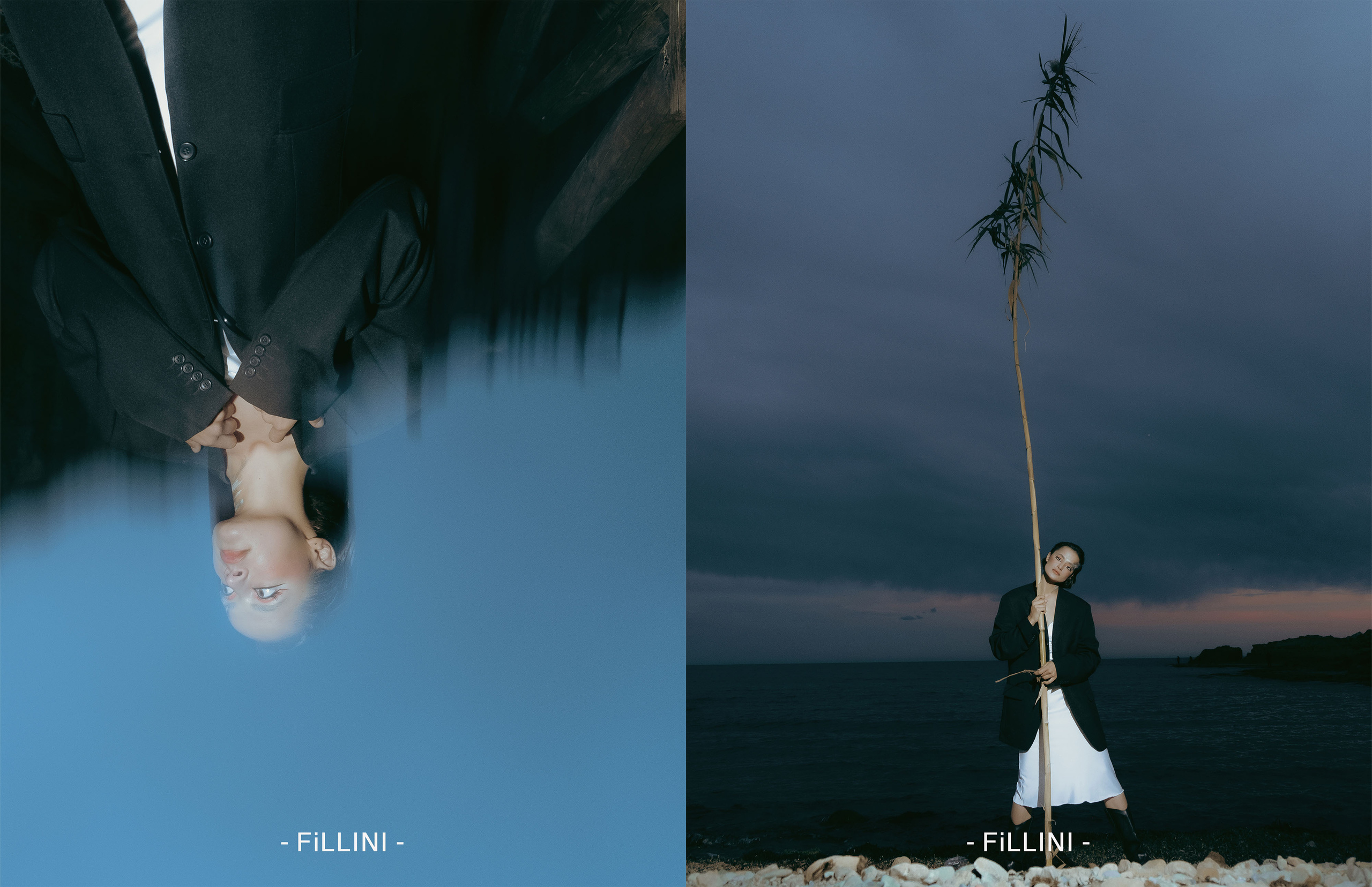 The best publications of the project Dusk in Silence