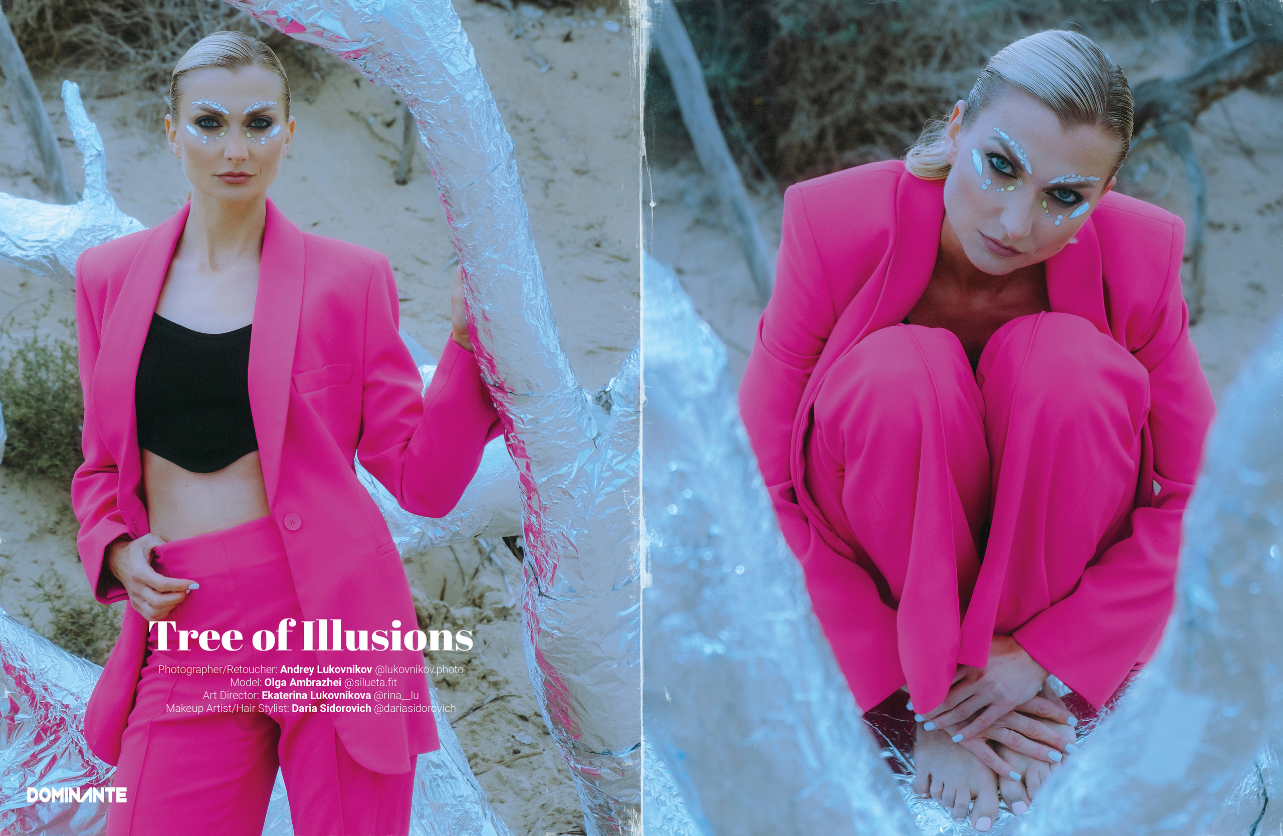 The best publications of the project Tree of Illusions