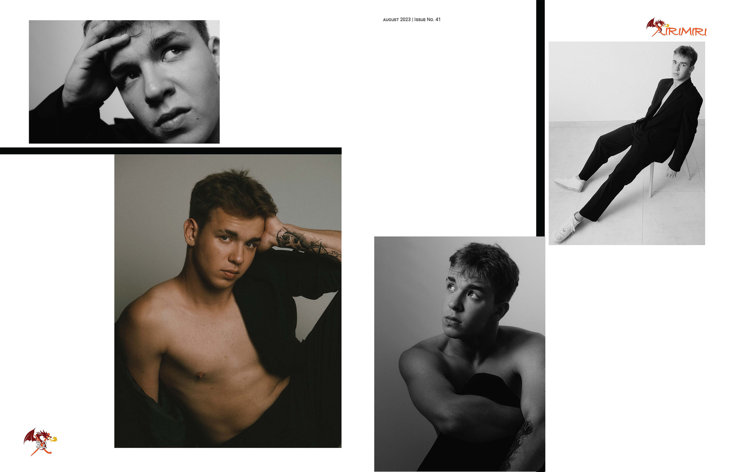 The best publications with Dmitrii Shlein