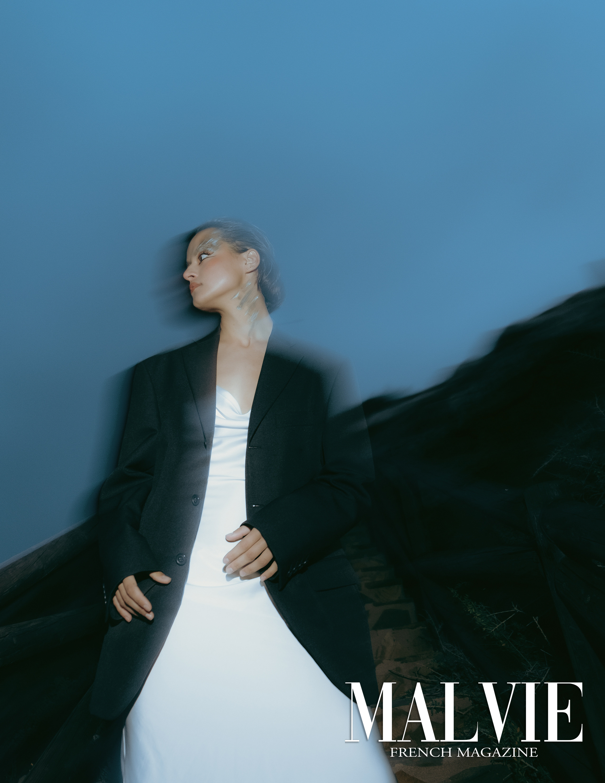 The best publications of the project Dusk in Silence