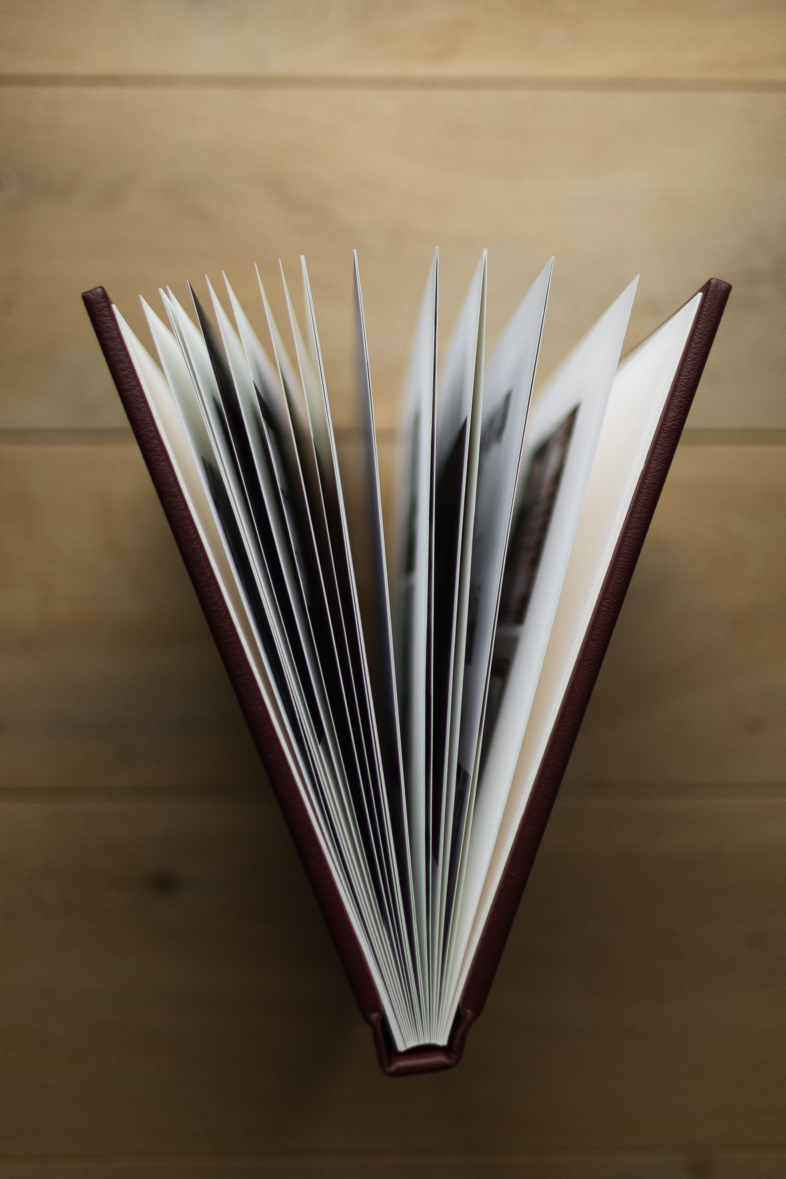 Fine Art Albums & Prints | Anna Dobrovolskaia