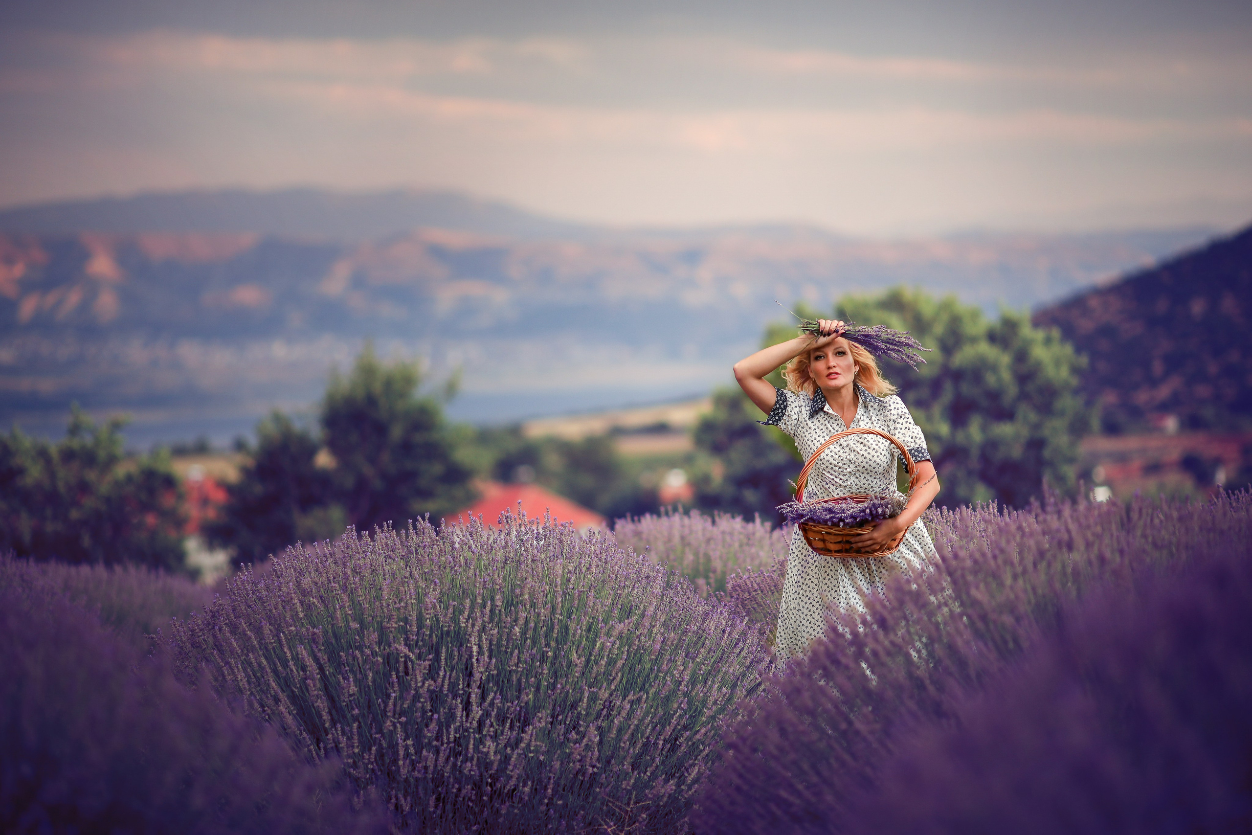 Lavender fields in Turkey. Photographer in Turkey, Antalya, Kemer, Belek, Side, Kas, Fethiye
