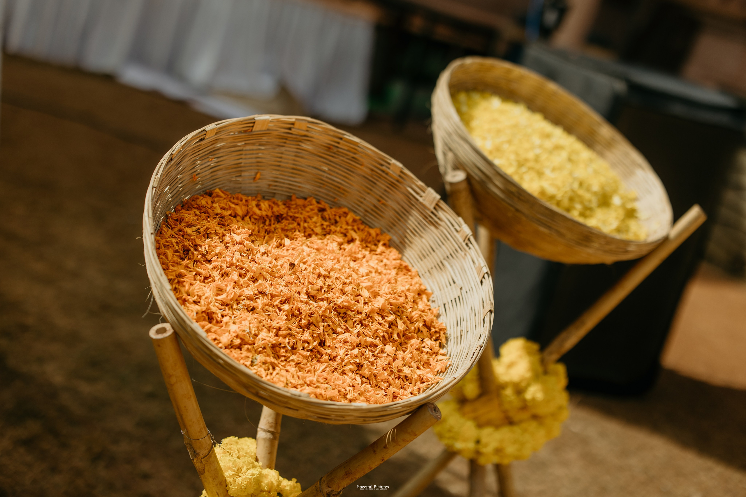 #THEPURALOVESTORY is a journey of two hearts growing in sync, across seasons, challenges, and memories