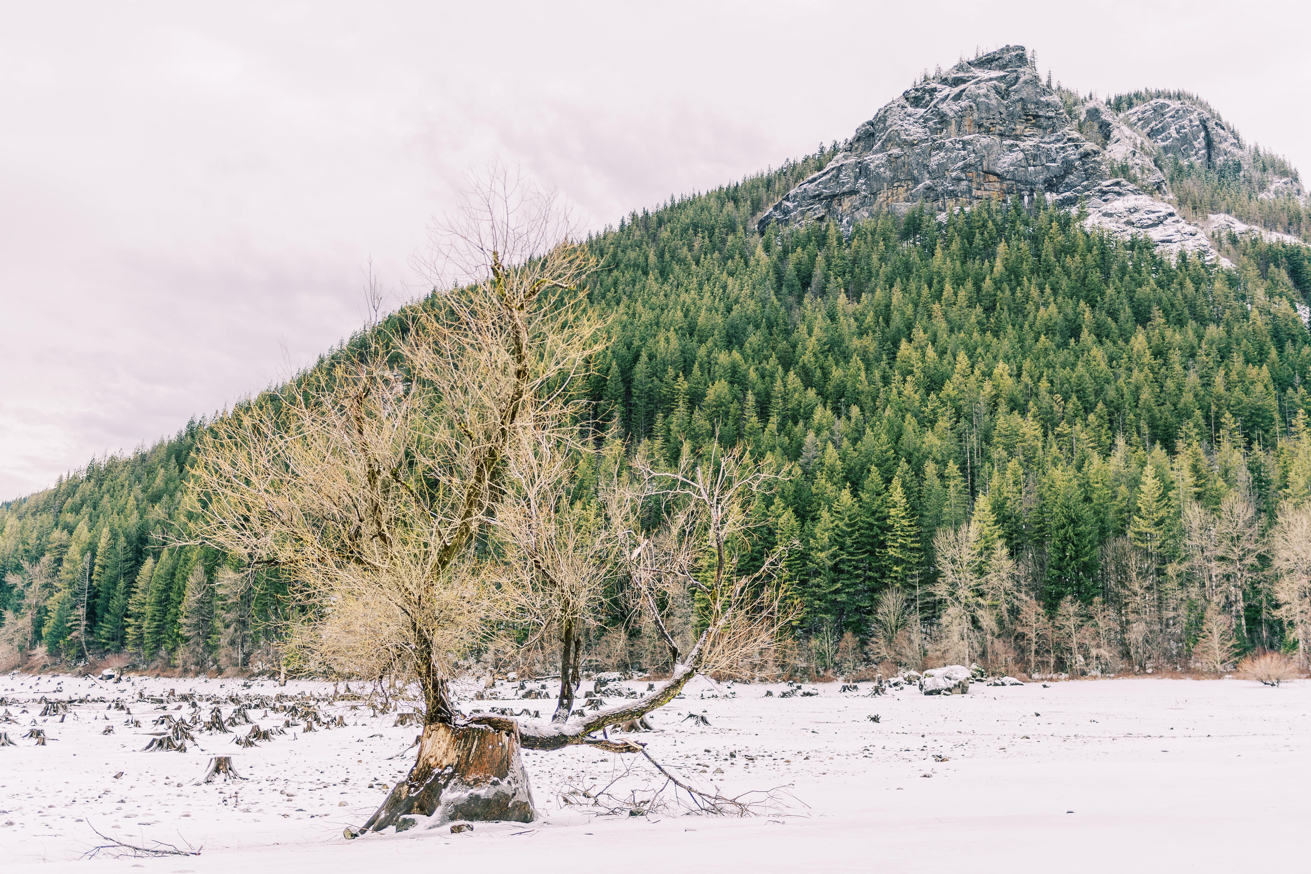 Irina & Bogdan / January 2024. Rattlesnake Lake, WA. EVAN ARISTOV WEDDING PHOTOGRAPHY — Seattle Wedding Photographer