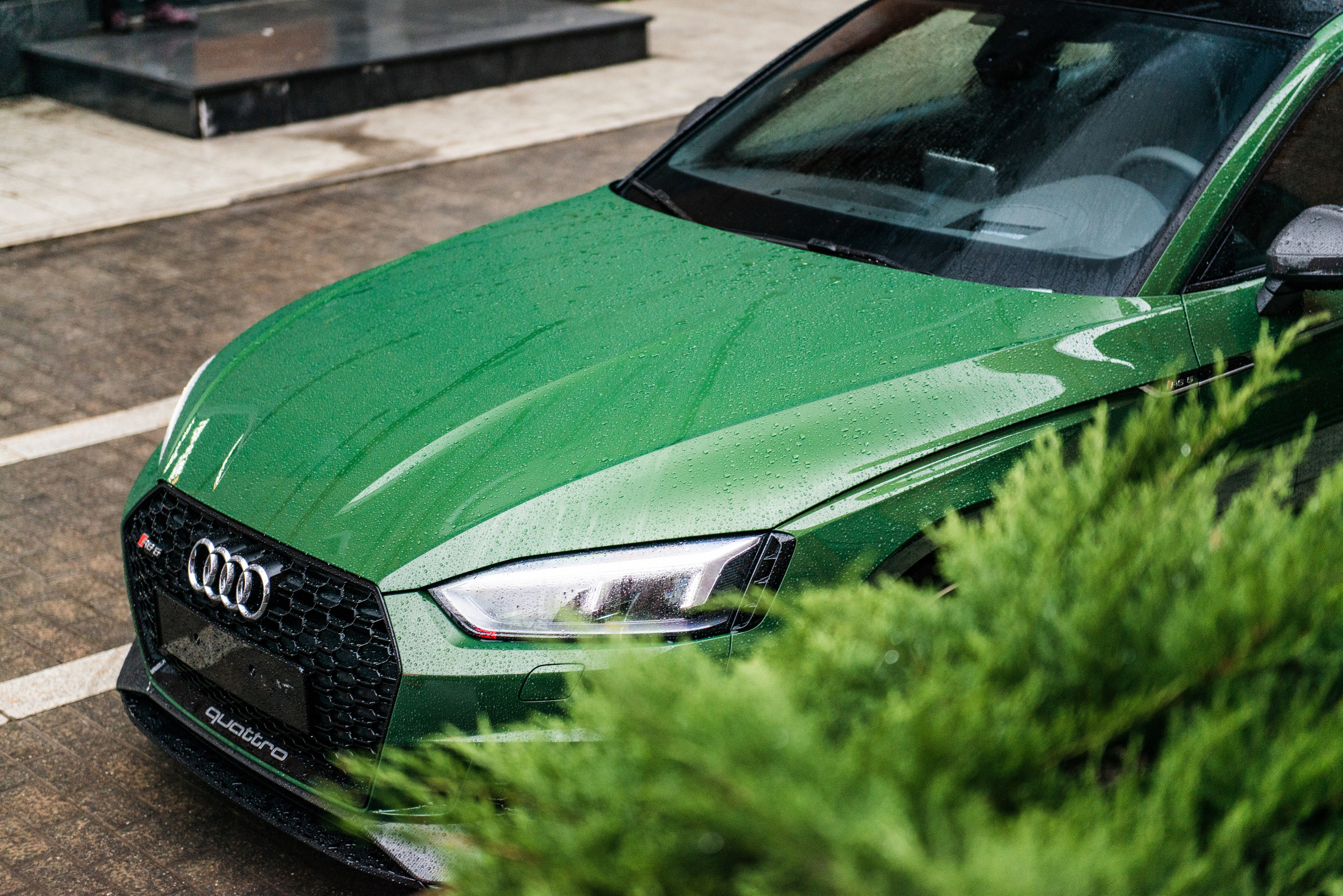 Съемка Audi RS5 на мастер классе. ФОТОГРАФ МЕКСИКА КИНТАНА-РОО