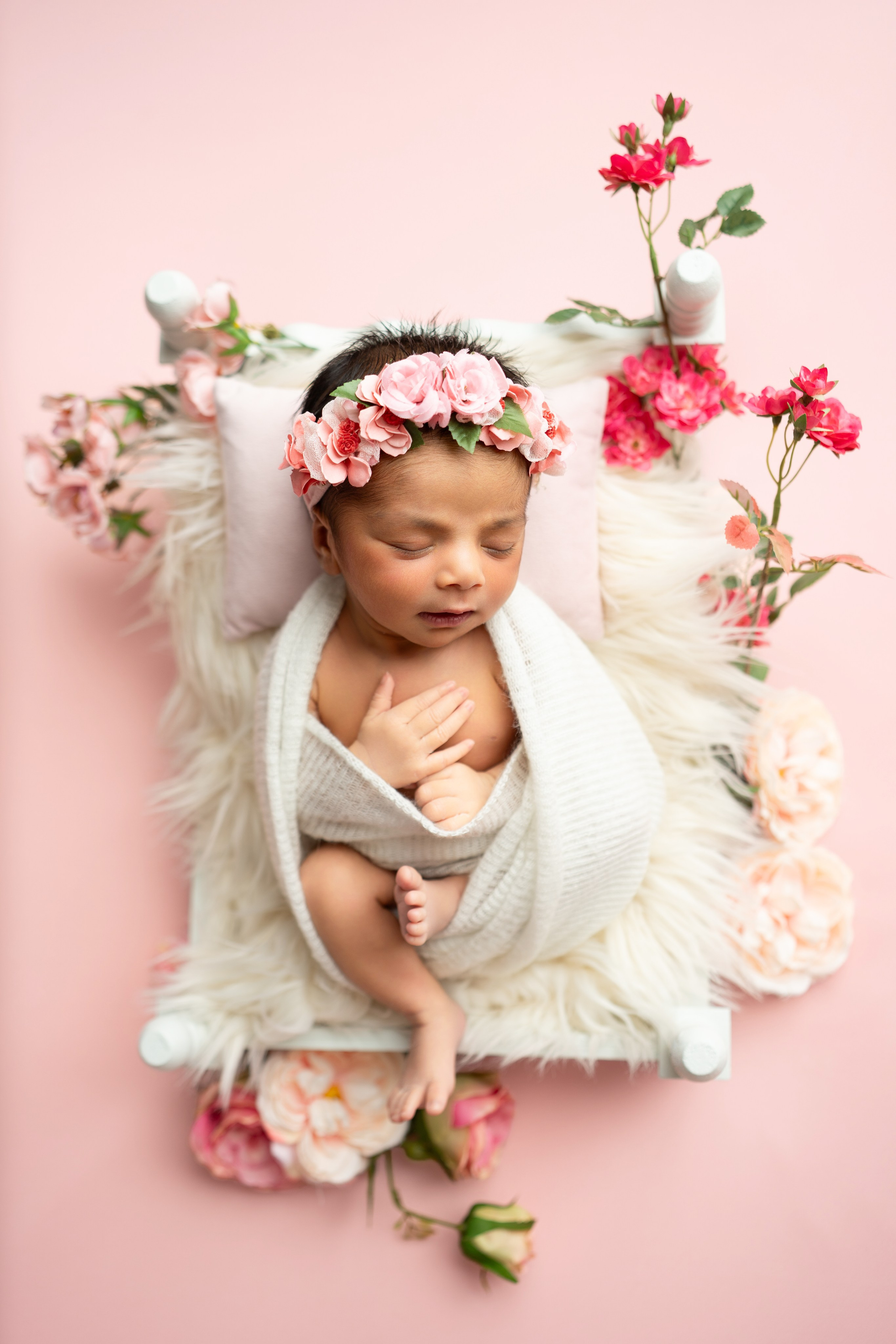 Posed Newborn. Maternity, family and newborn photography in San Francisco Bay Area