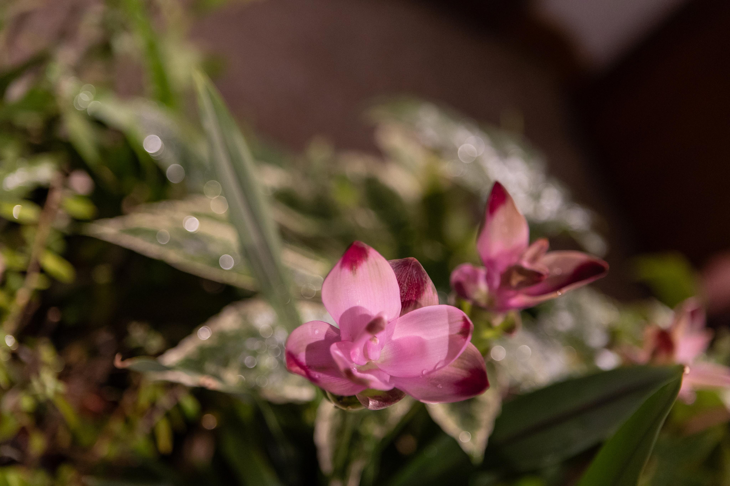 Report from the exhibition