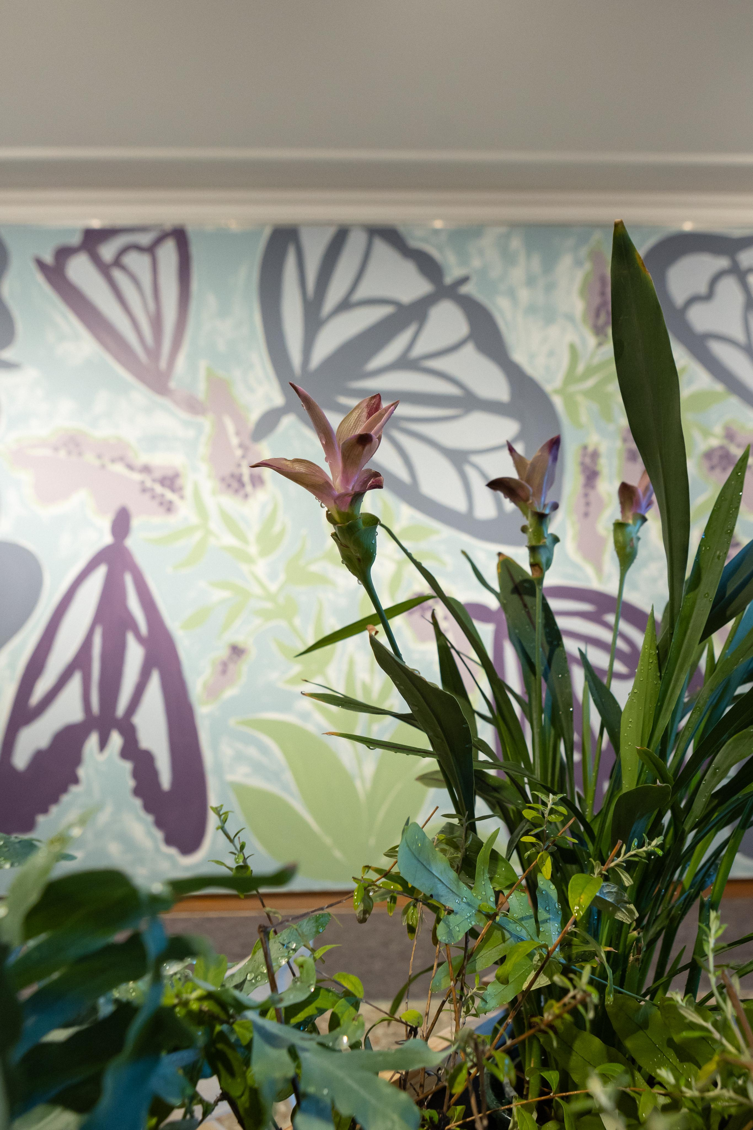 Report from the exhibition