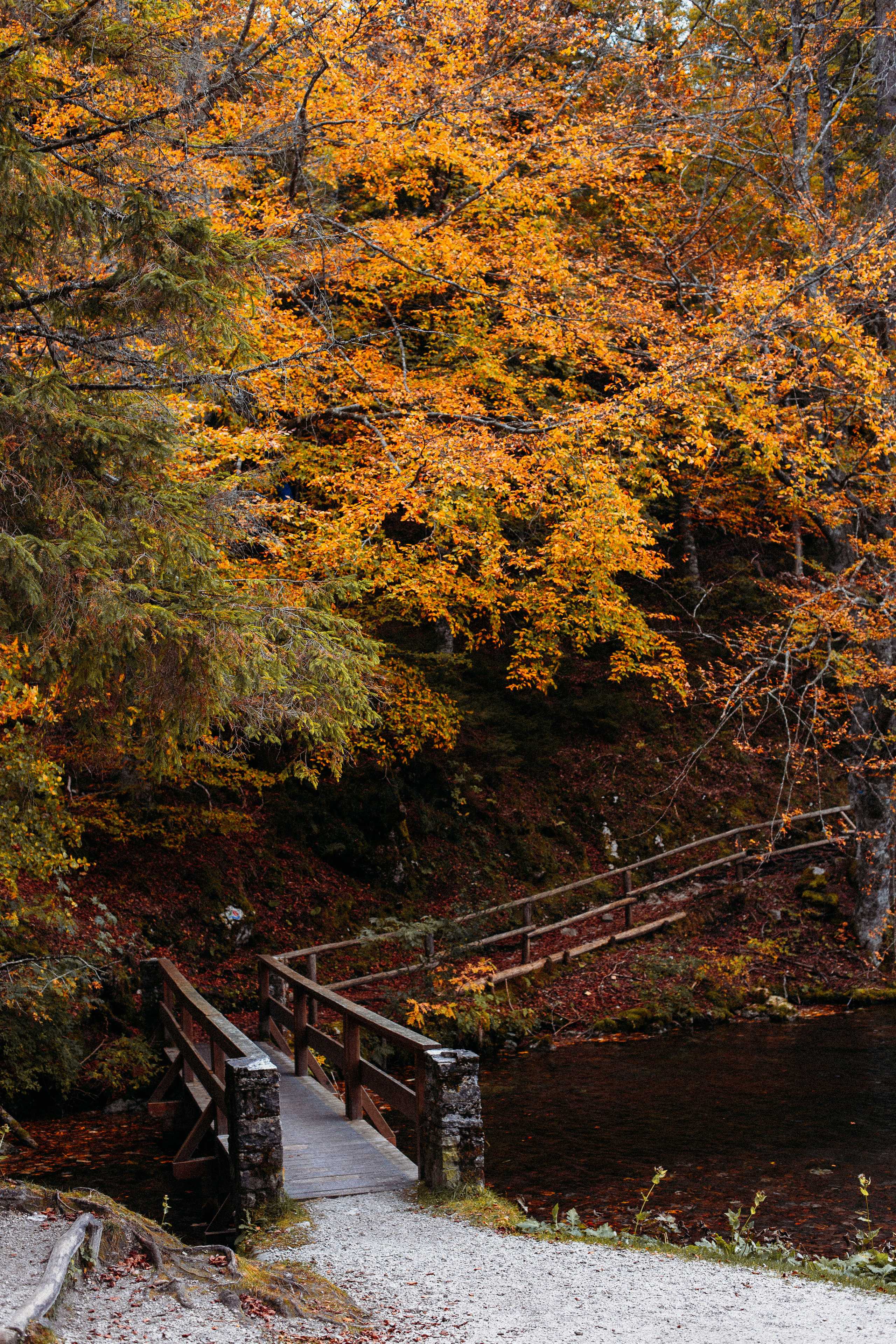 The pearl of the Friuli region