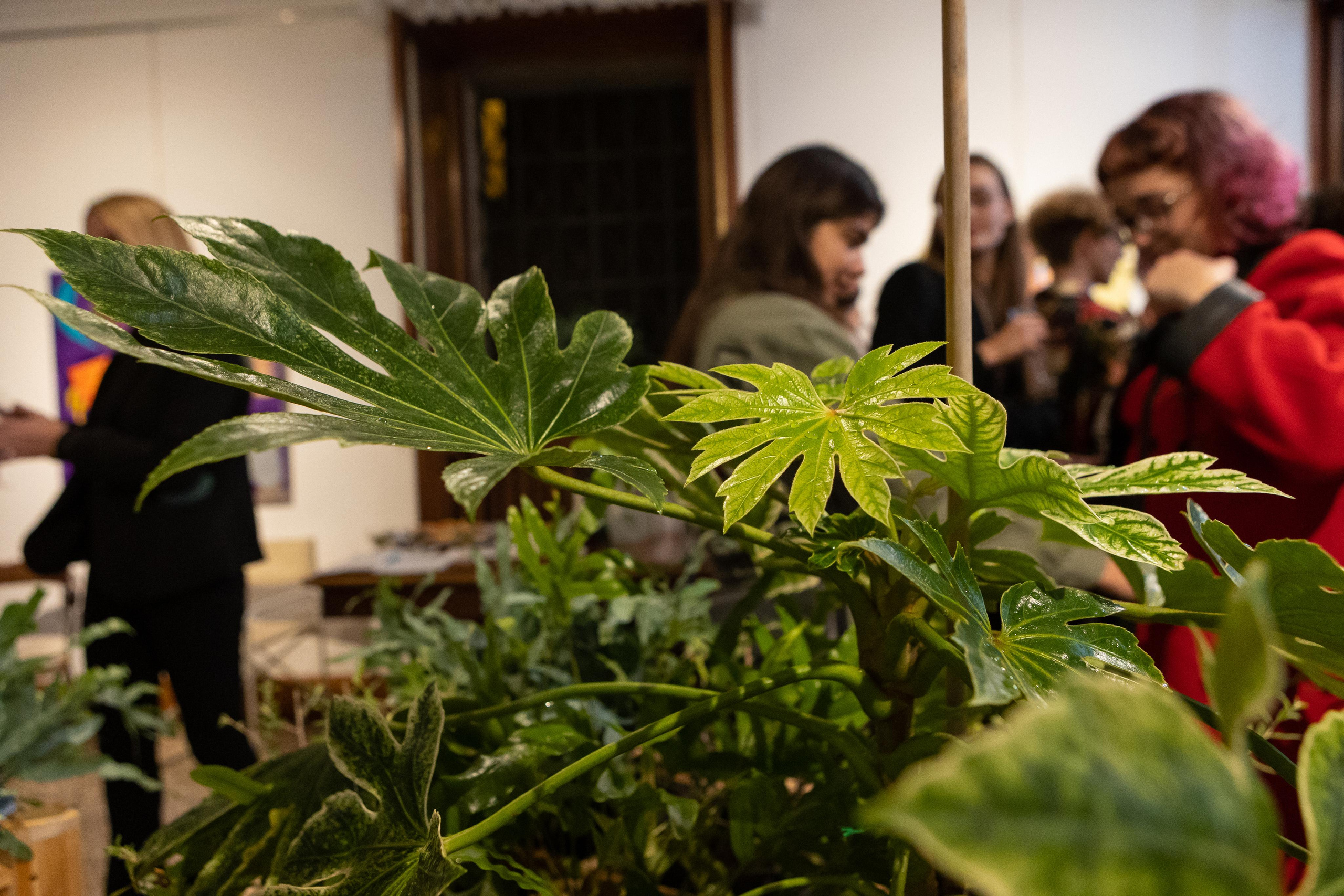 Report from the exhibition