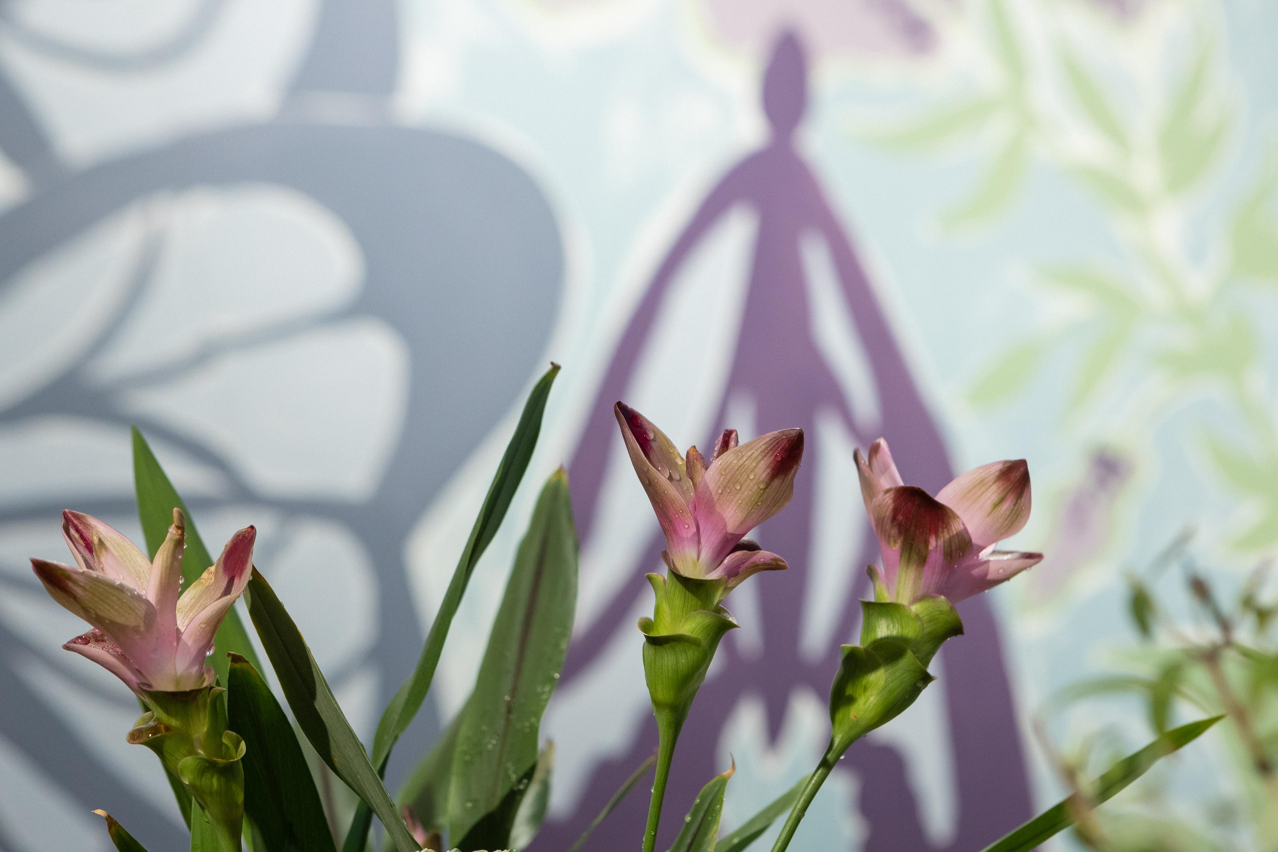 Report from the exhibition