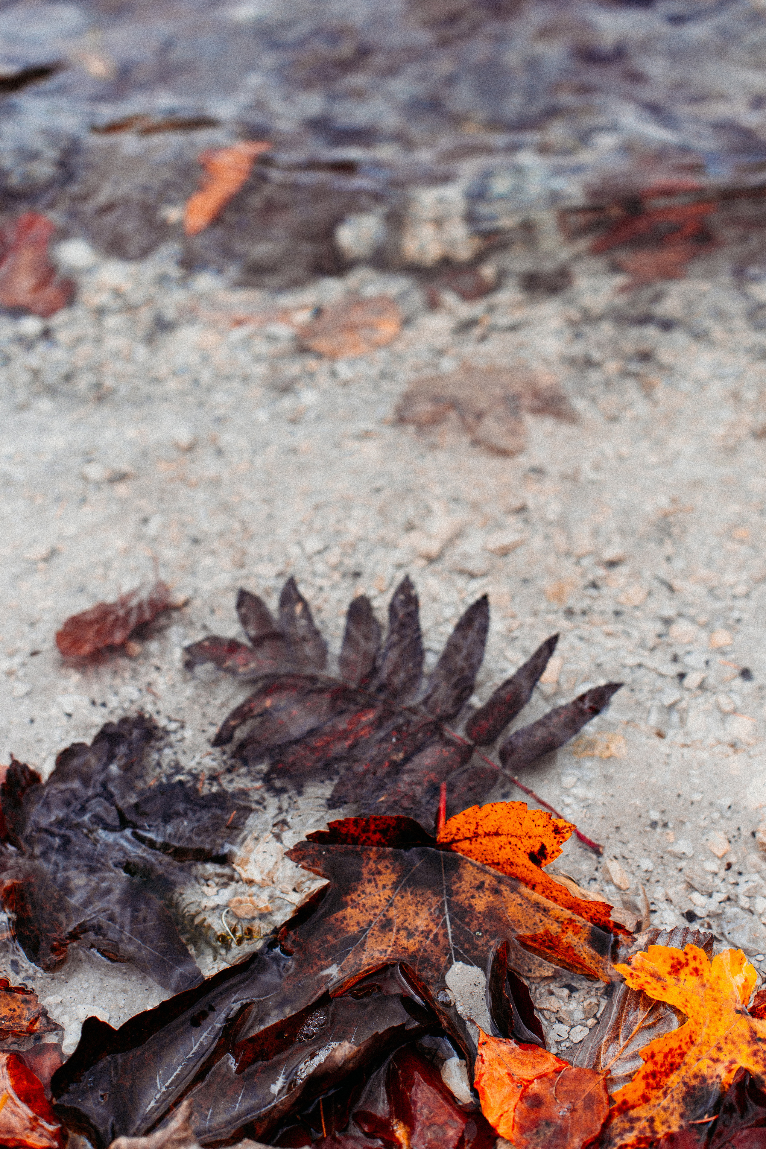 The pearl of the Friuli region