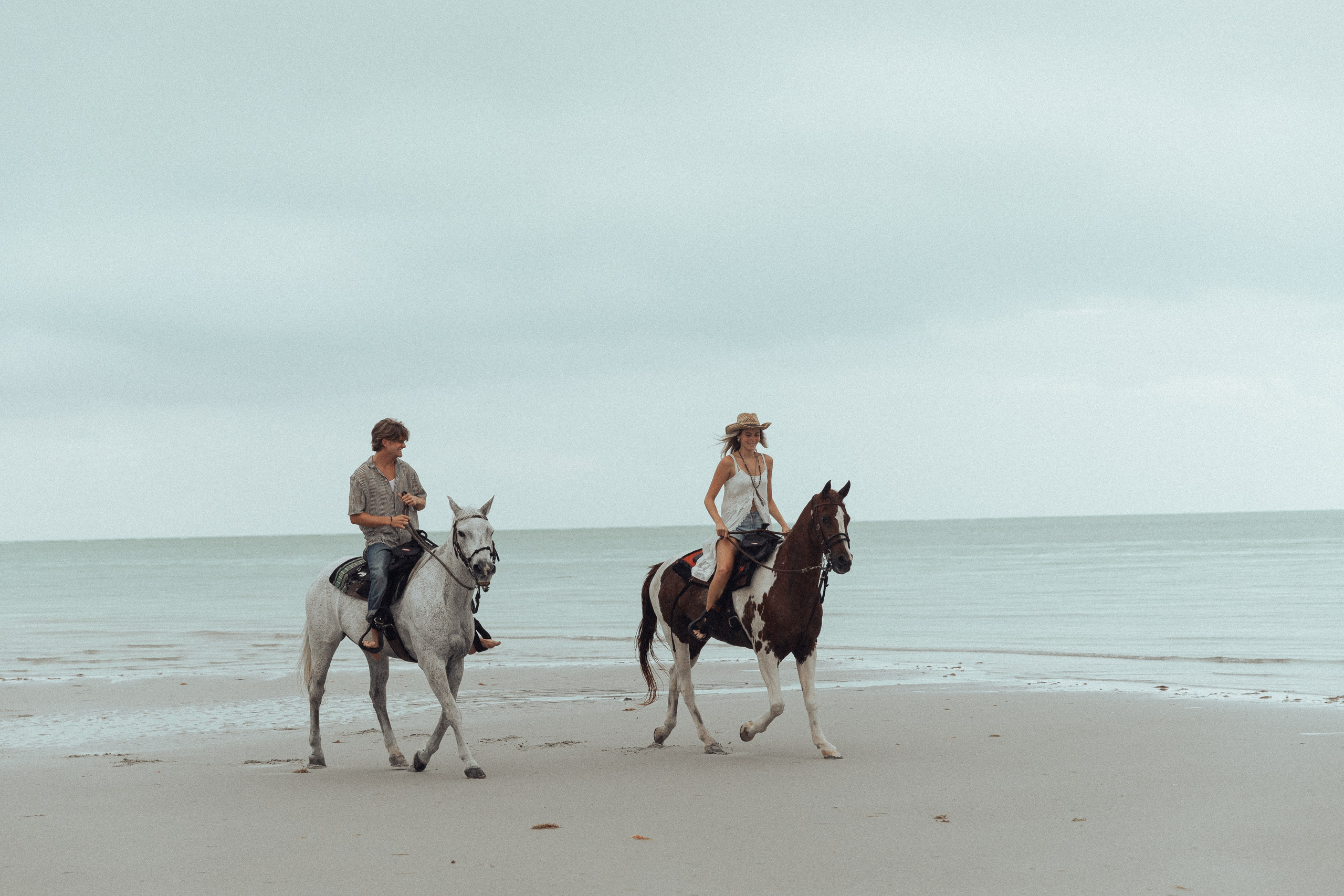 Horse & Rider Photoshoots In Florida