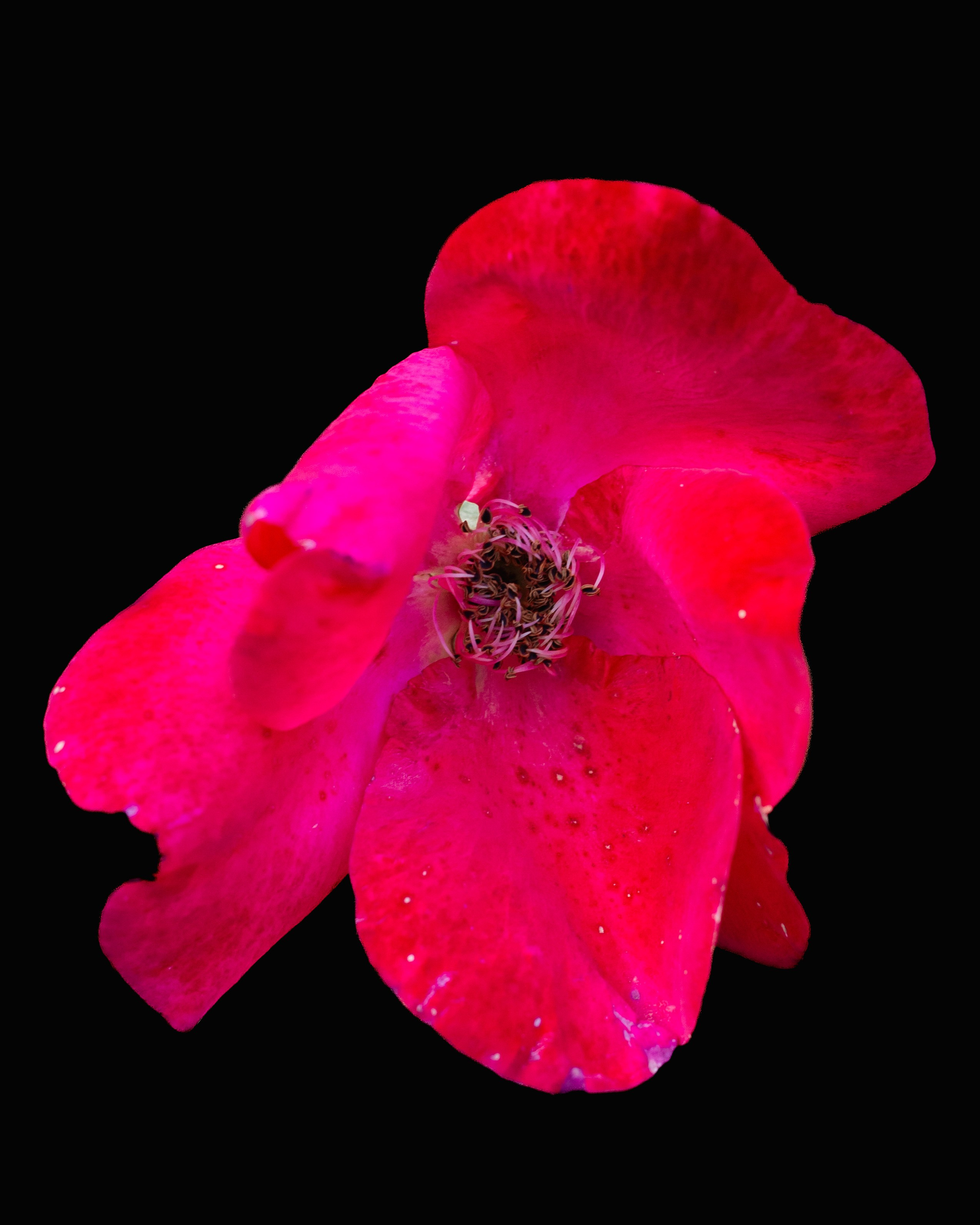 Life is beautiful at every stage. Look Around You