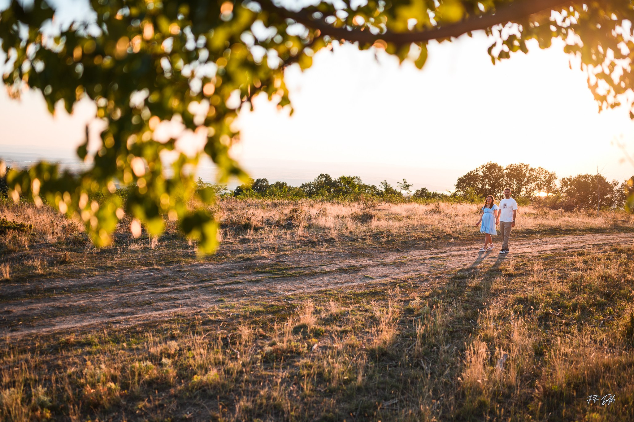 🌻 Cristi & Daniela | Maternity Session ❤️. Fotografie & Videografie de nuntă în Timișoara