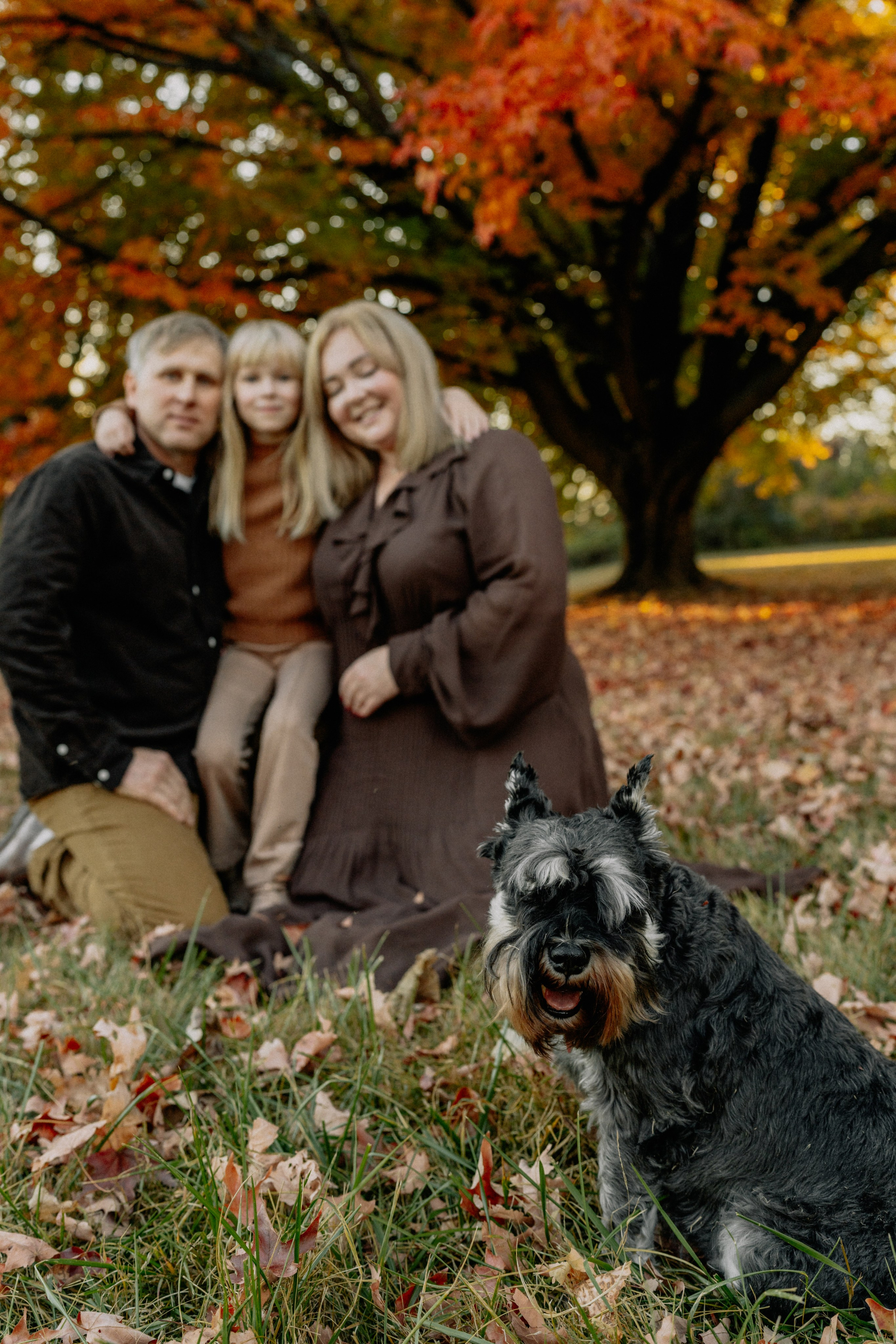 Fall Family Photography – Golden Leaves & Warm Tones. Alisa Tant — Family and newborn photographer Bucks County, Montgomery county, Philadelphia, NJ