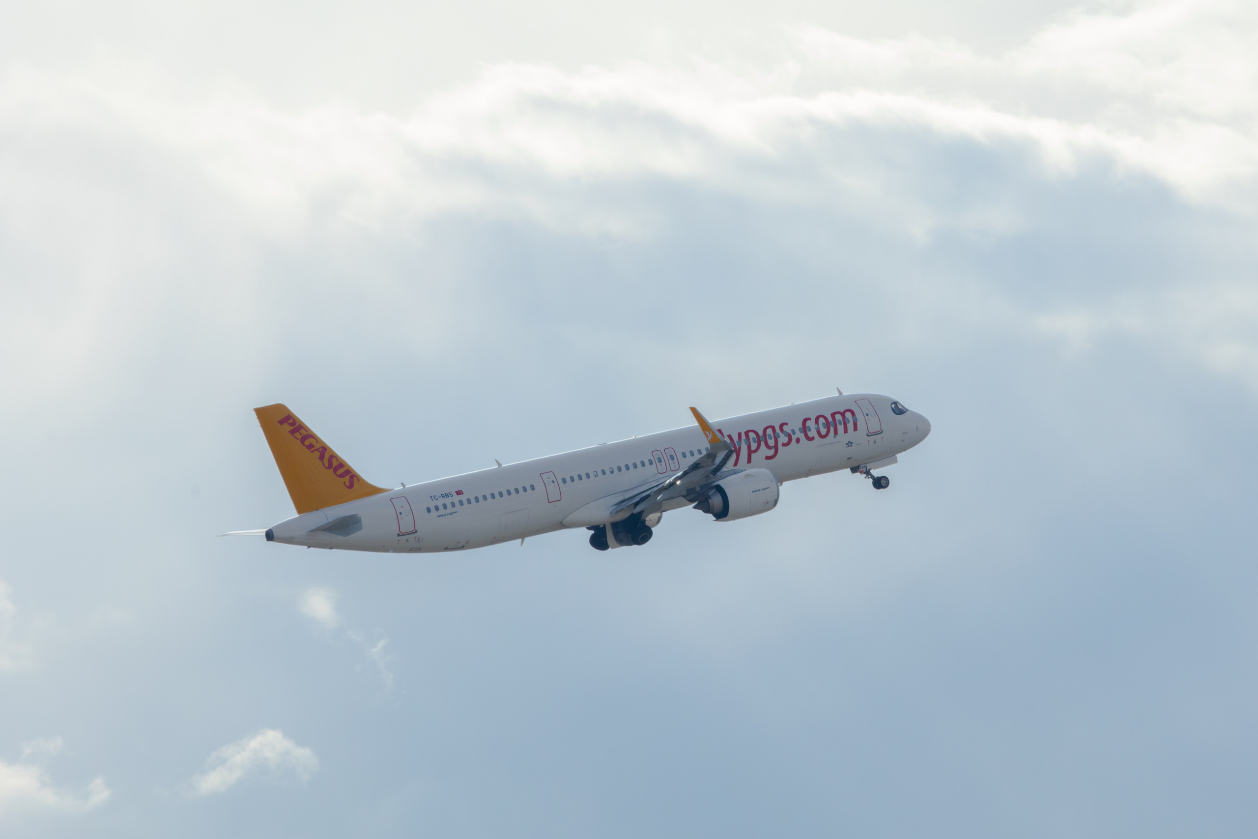 ფრთა ბუმბულისა და ფრთა რკინისა. FramefreeMan