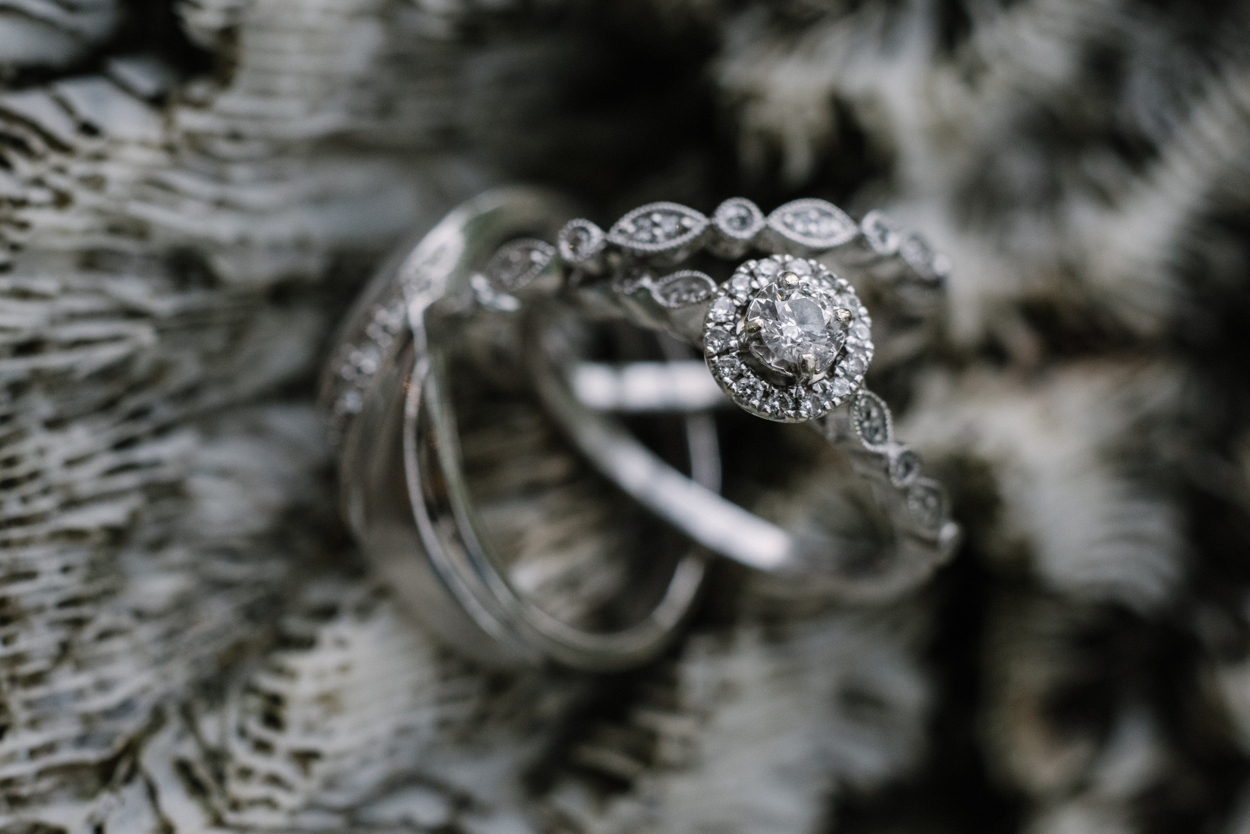 Wedding rings collection. Punta cana wedding family fashion photographer dominican republic, destination wedding photographer, elopement photography Punta Cana