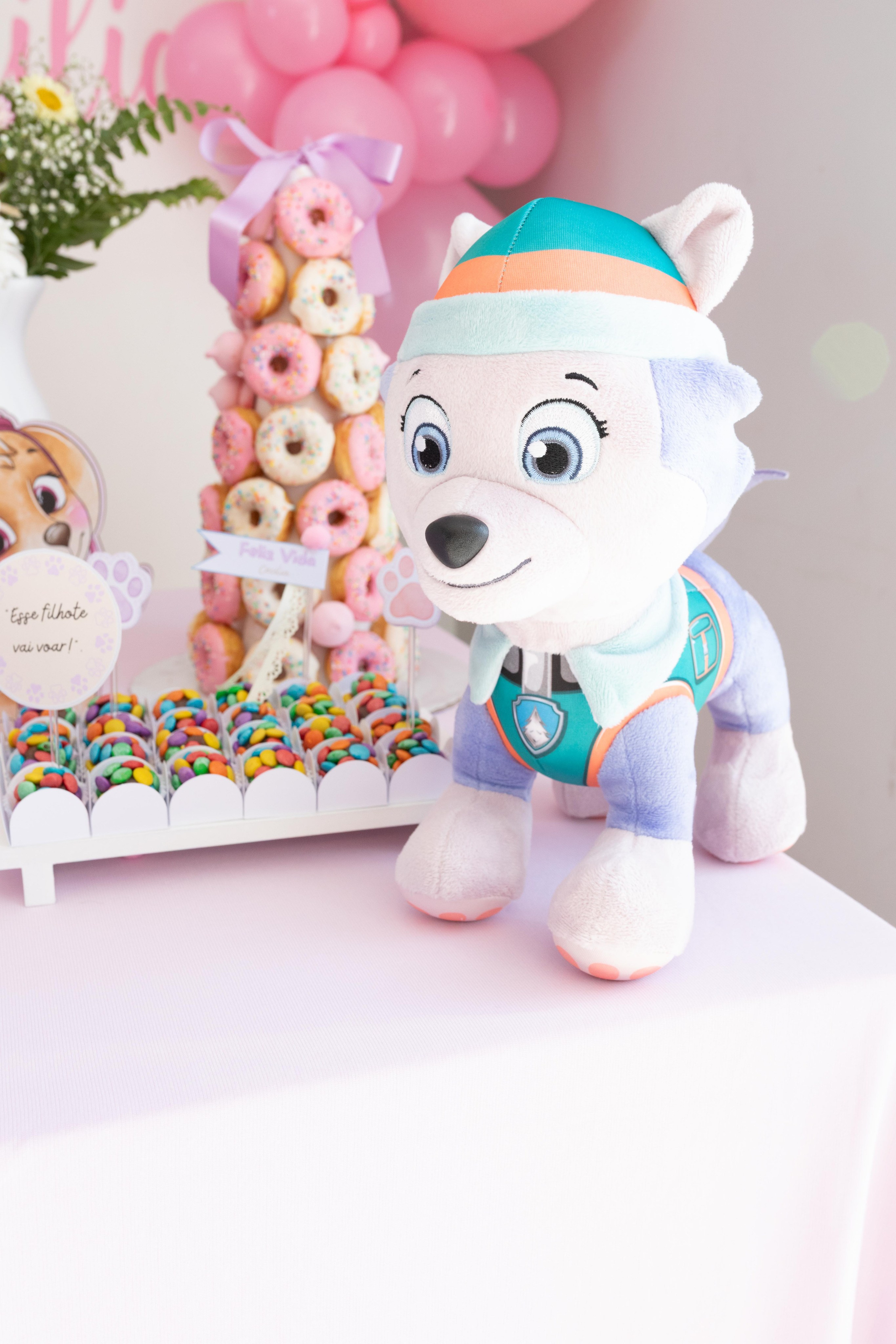 Detalhes da decoração de aniversário infantil Patrulha Canina - Fotógrafo em Joinville Lenofotografia