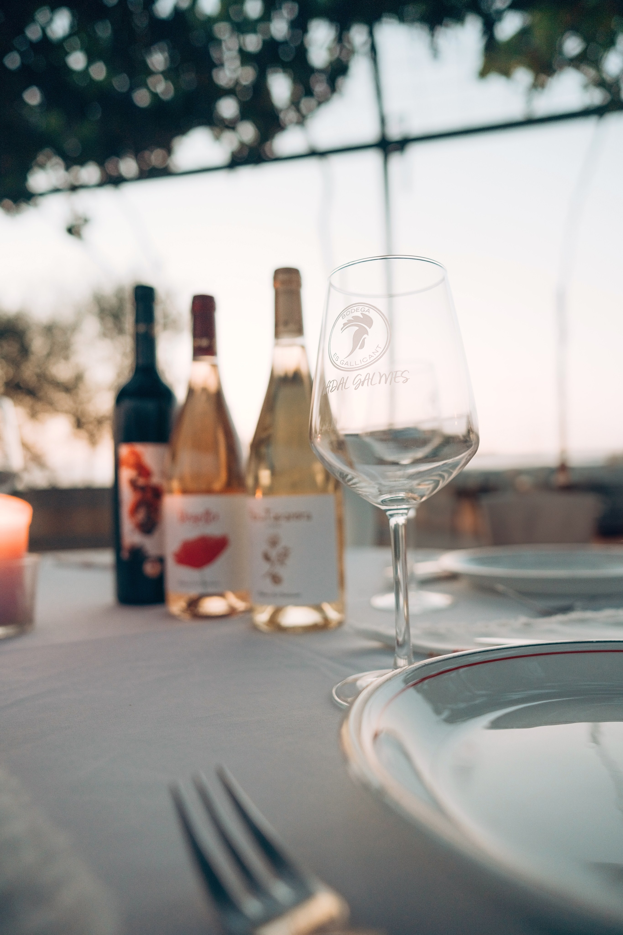 Bodega. Photographer in Mallorca