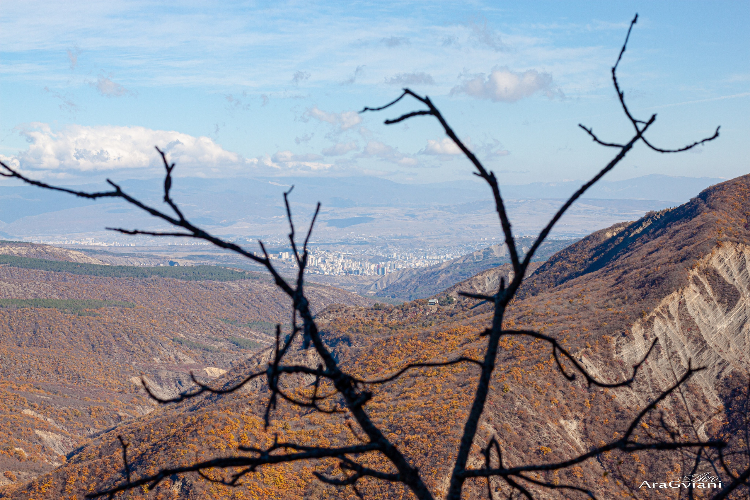 ჰიპოველოს შემოდგომის ველოტური წვერში. FramefreeMan