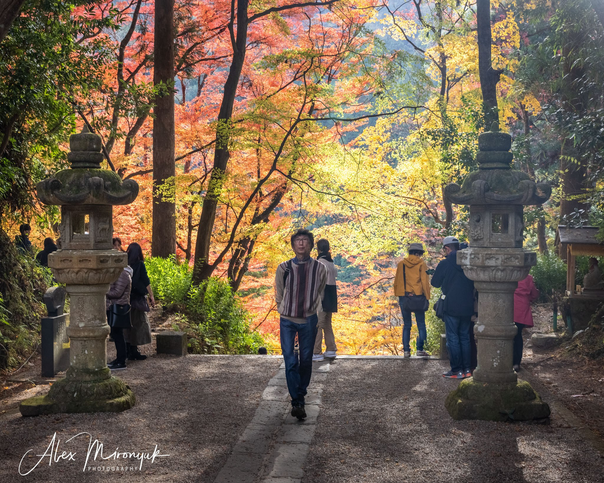 Autumn Colors of Japan. Pet, Senior, Landscape, portrait studio, photographer in Miami and Sou