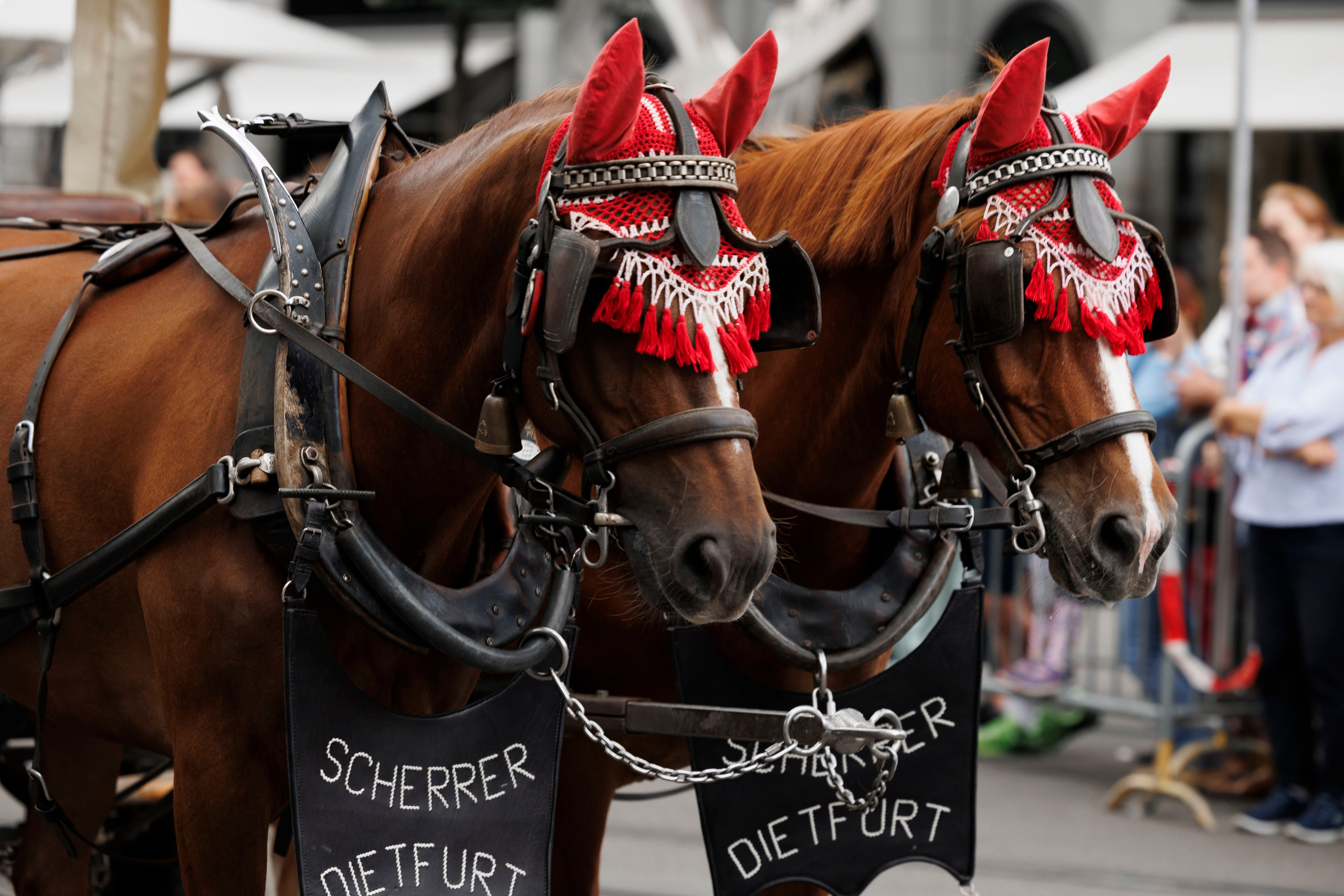 Trachtenfest 24. FotoStory by Lana Gfeller / Kanton Zürich