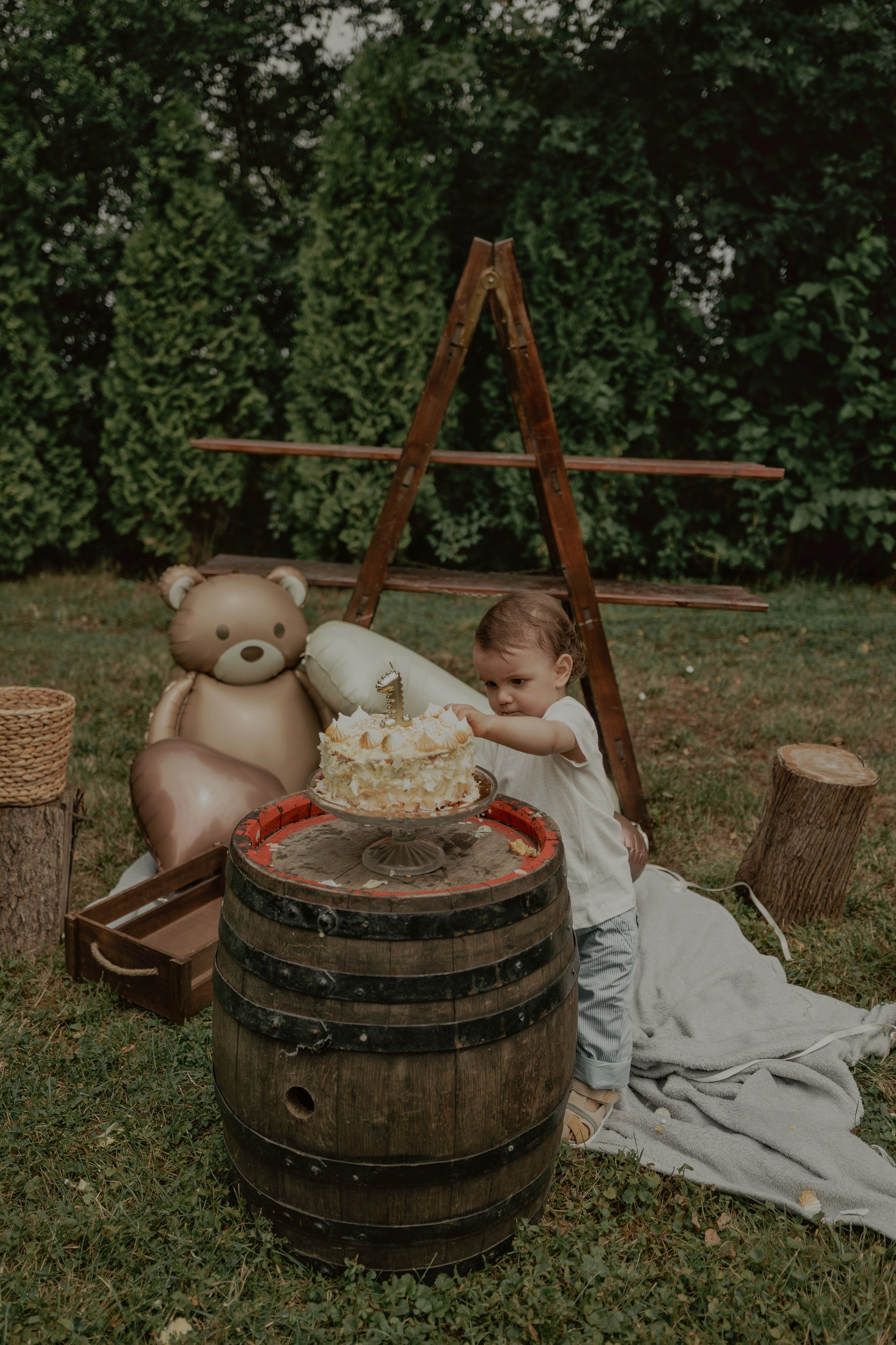 Armin — Micul explorator împlinește 1 an. Emotions Photo Art