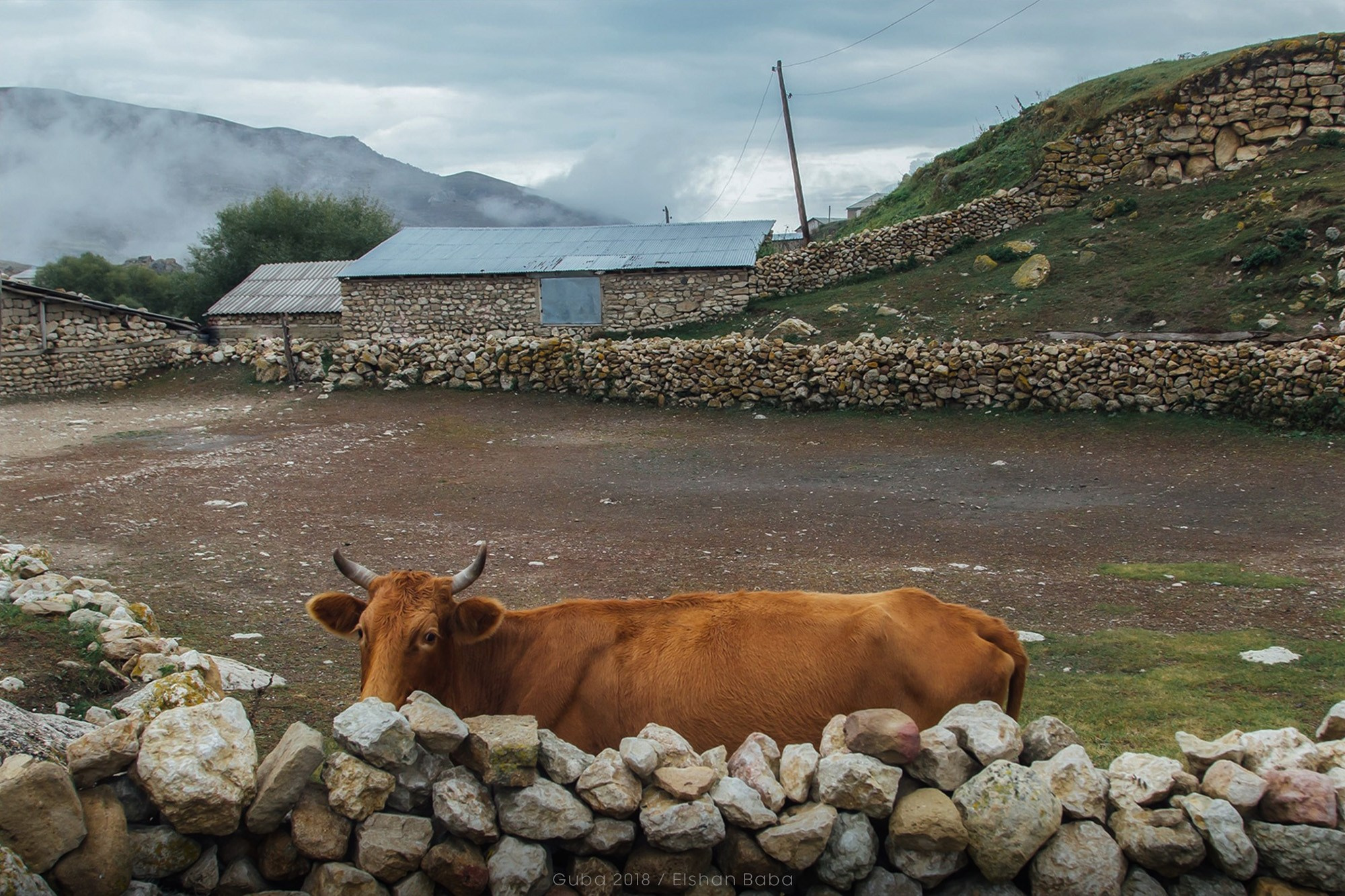 Təbiət Fotoqrafiyası və Portret Çəkilişləri. Bakıda Peşəkar Tədbir, Love Story və Təbiət Fotoqrafı — Elşən Baba