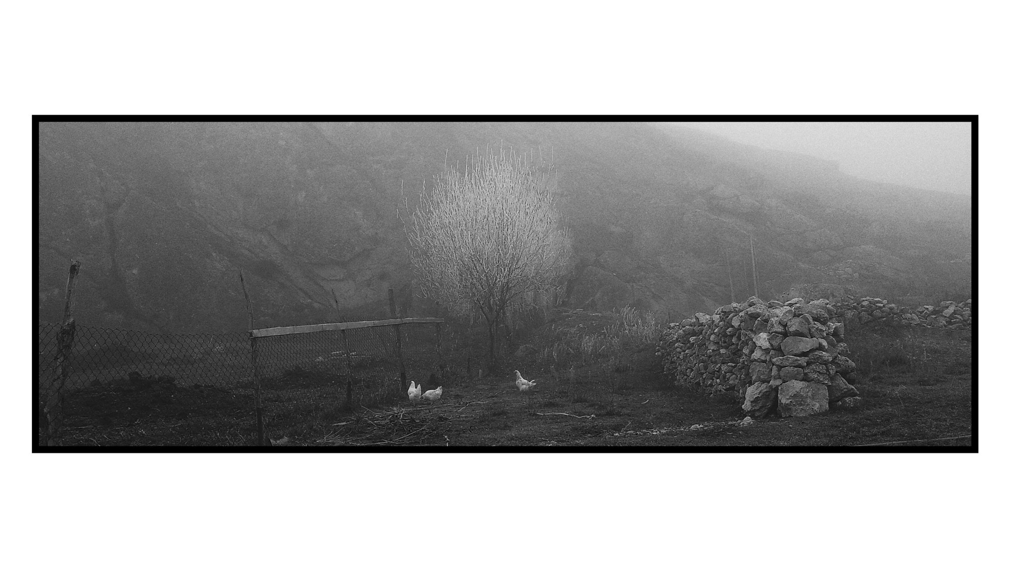 Dağ Kəndi Həyatı və Mənzərələri. Bakıda Peşəkar Tədbir, Love Story və Təbiət Fotoqrafı — Elşən Baba