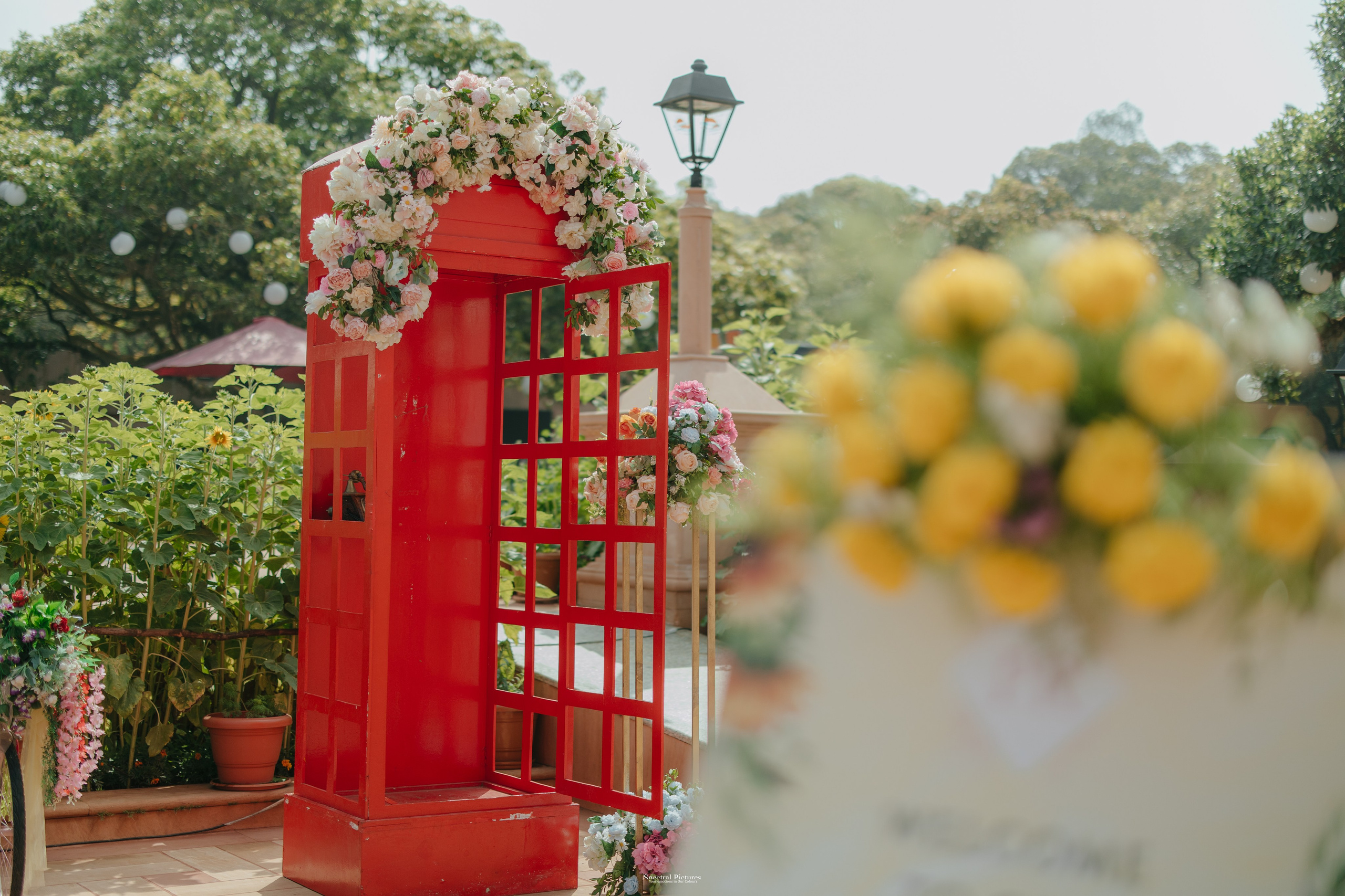 #THEPURALOVESTORY is a journey of two hearts growing in sync, across seasons, challenges, and memories