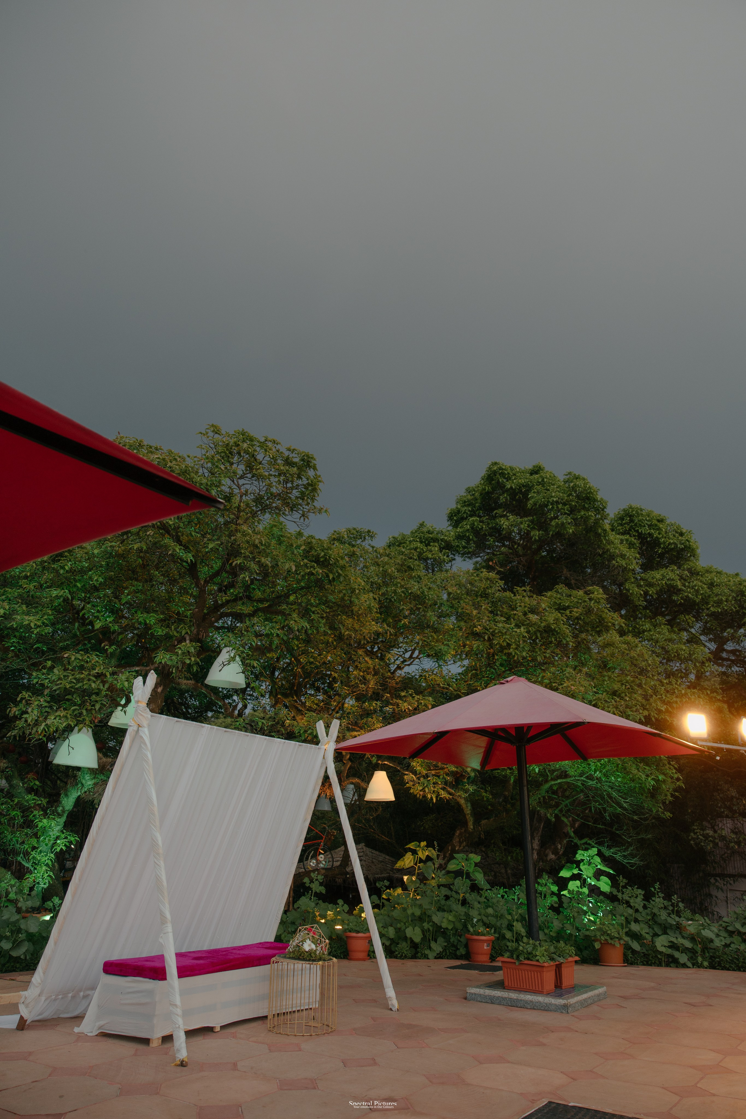 #THEPURALOVESTORY is a journey of two hearts growing in sync, across seasons, challenges, and memories