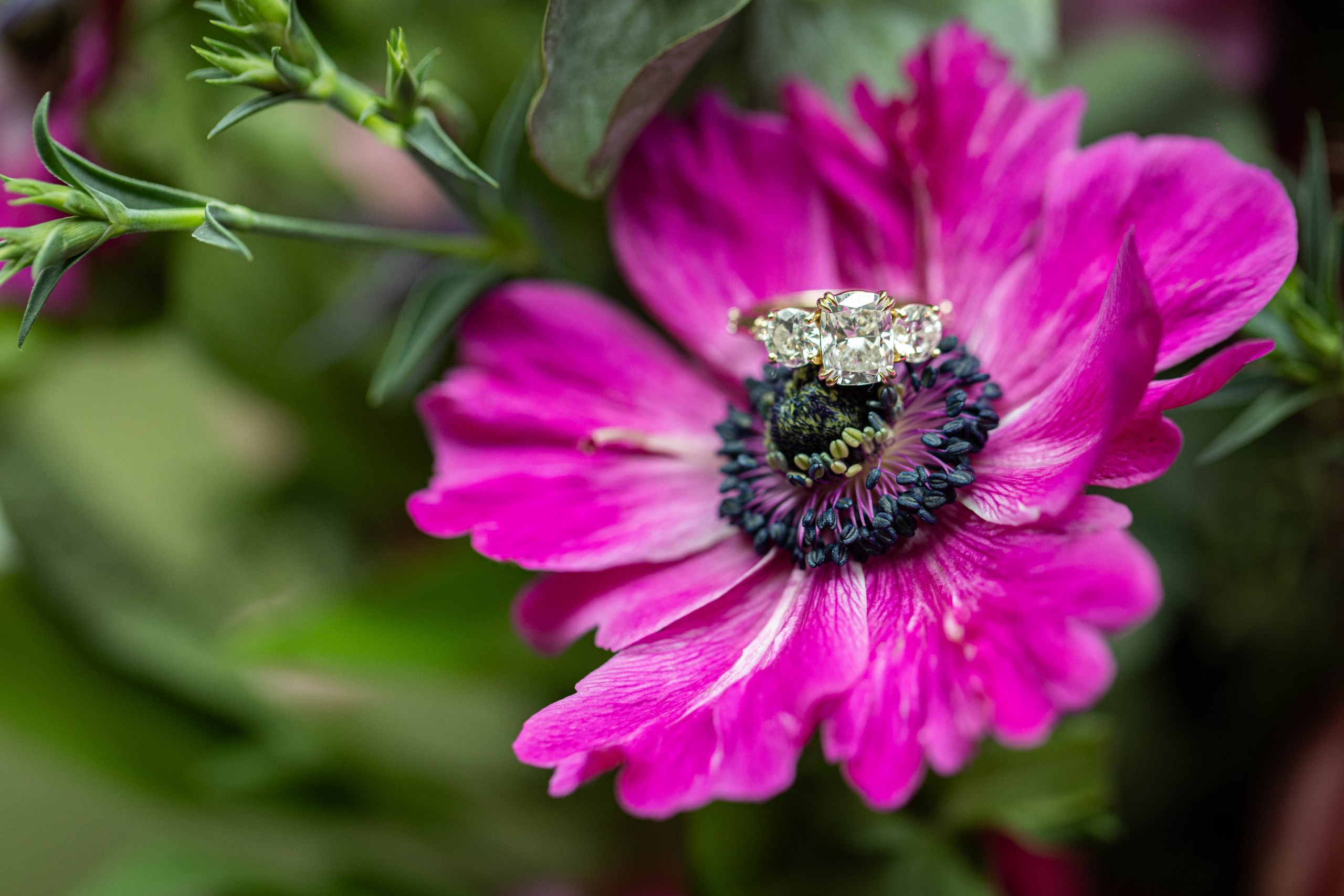 Luxury Wedding Photography and Cinematography