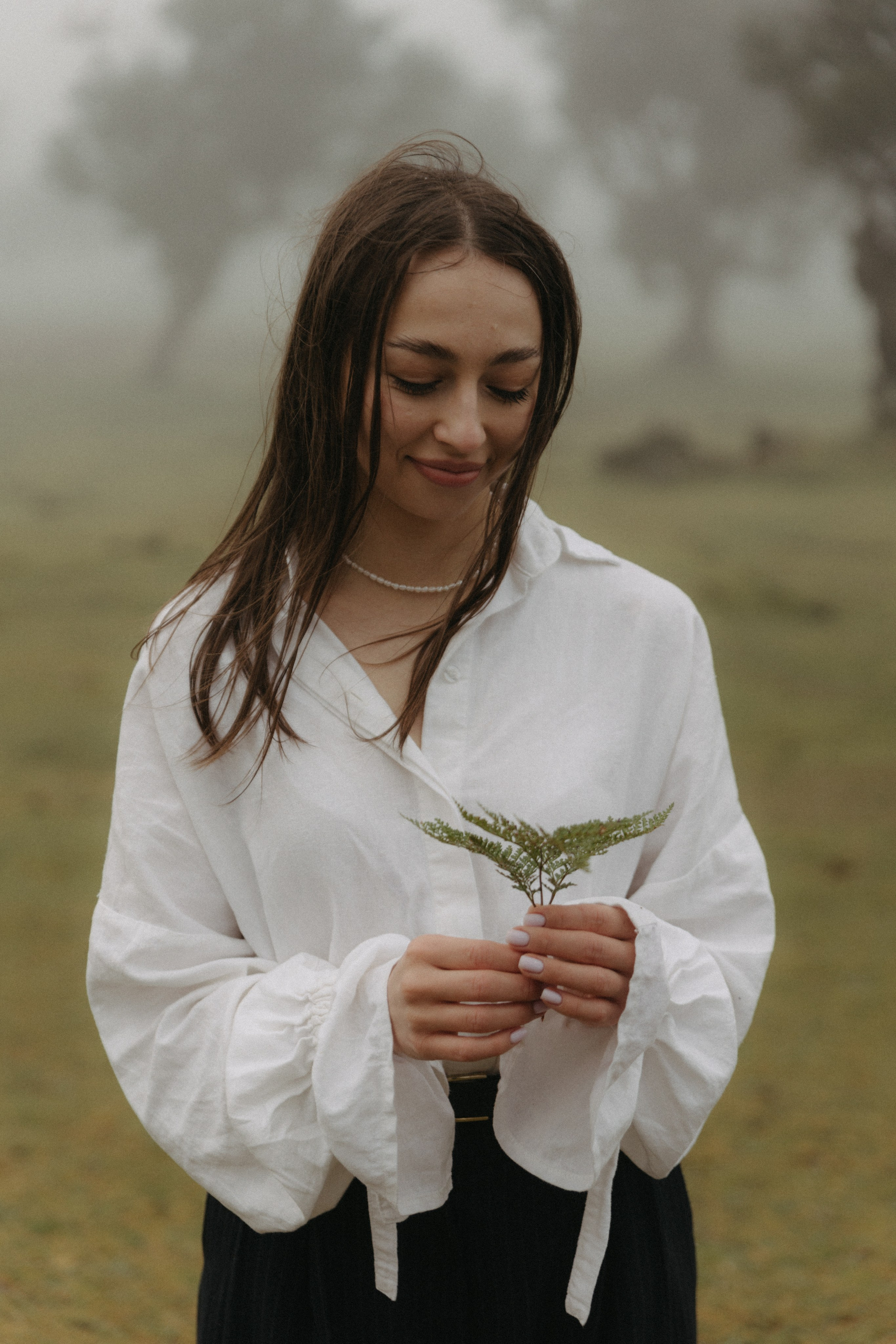 Magic of Fanal Forest. Wedding photographer and videographer based in Timisoara, Romania