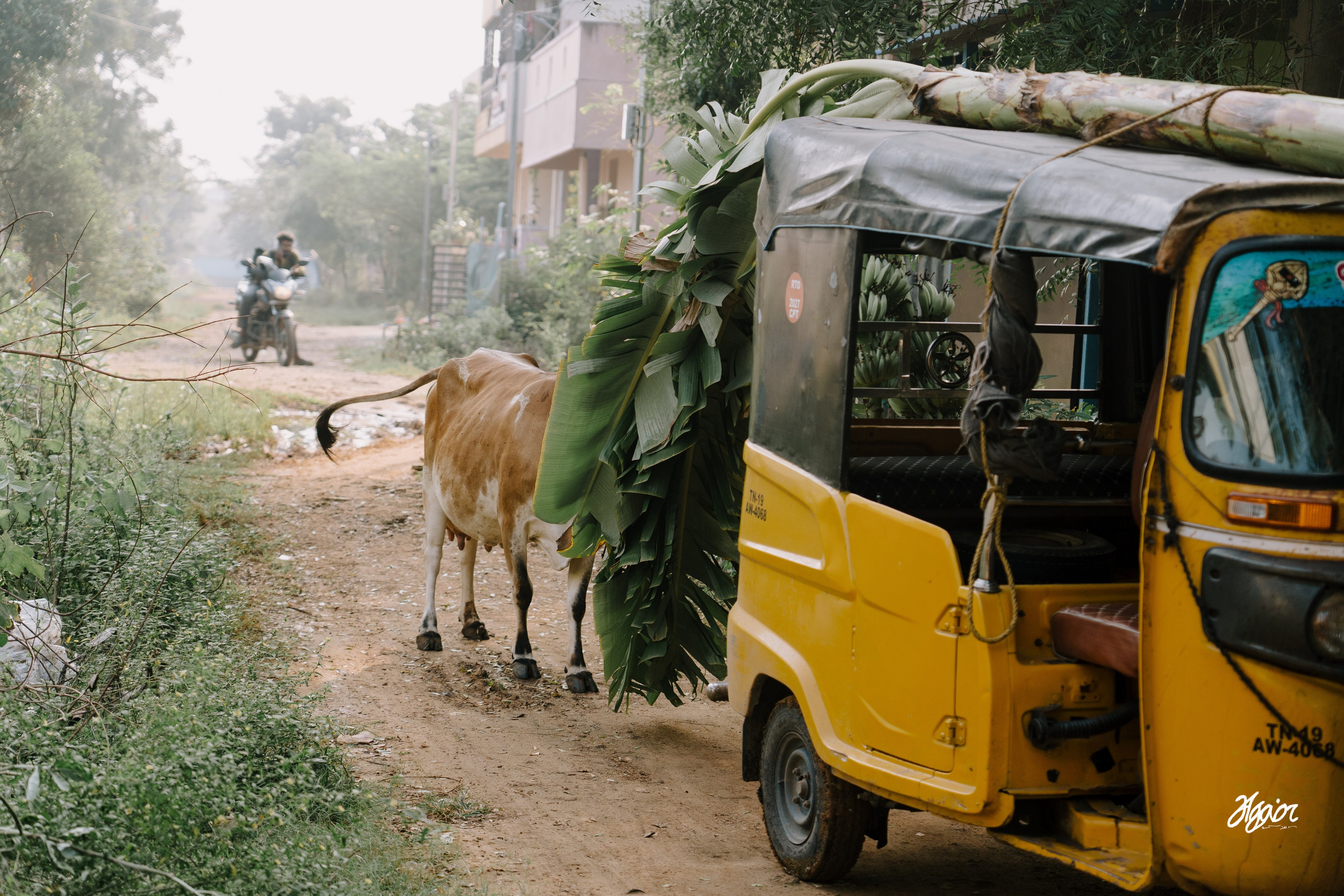 A Three-Day Bangalore Wedding Story | Emotional South Indian Wedding at KBL Saarang. Agam Vizha