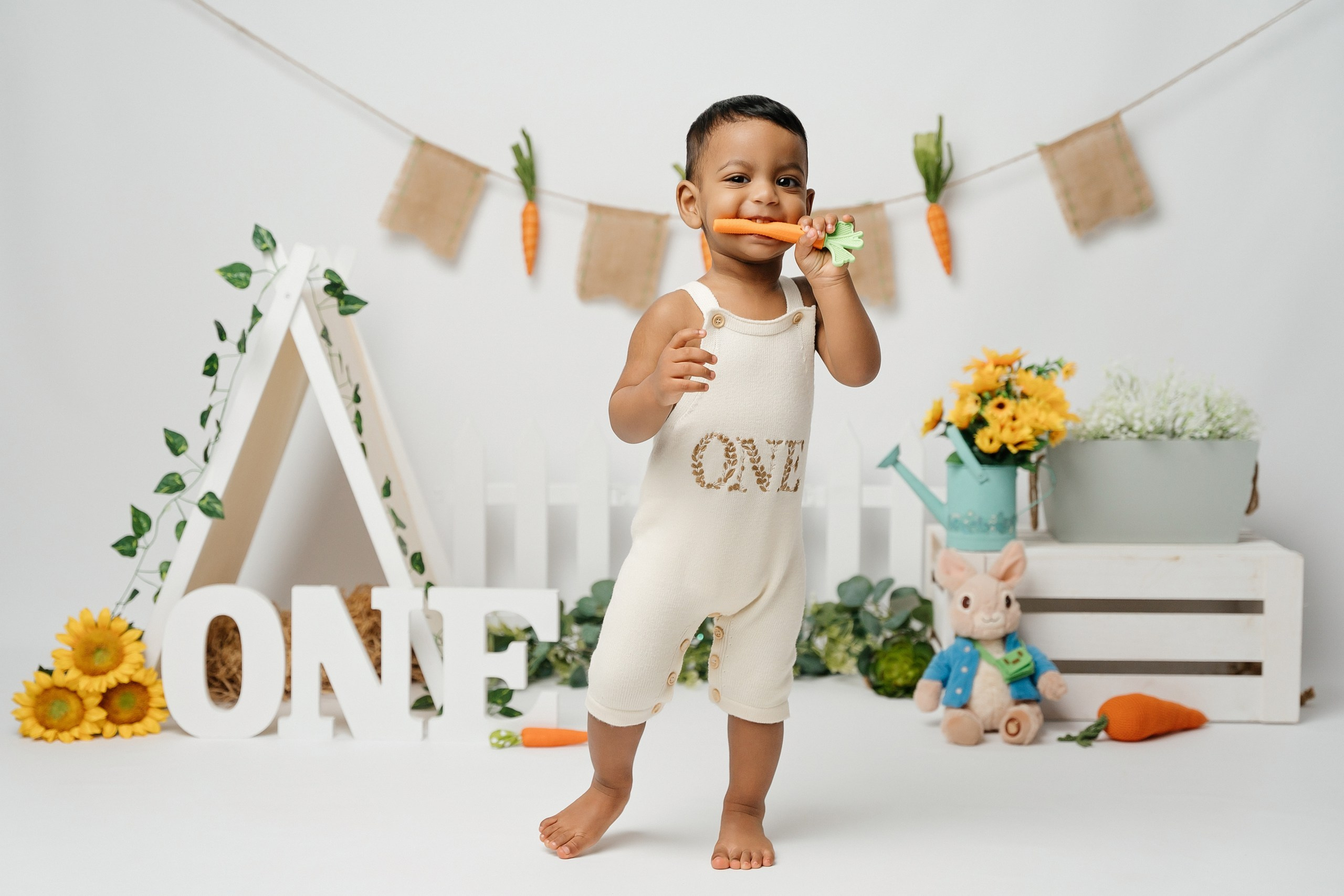 Peter rabbit cake smash session. Newborn and family photographer. Hills District. Sydney