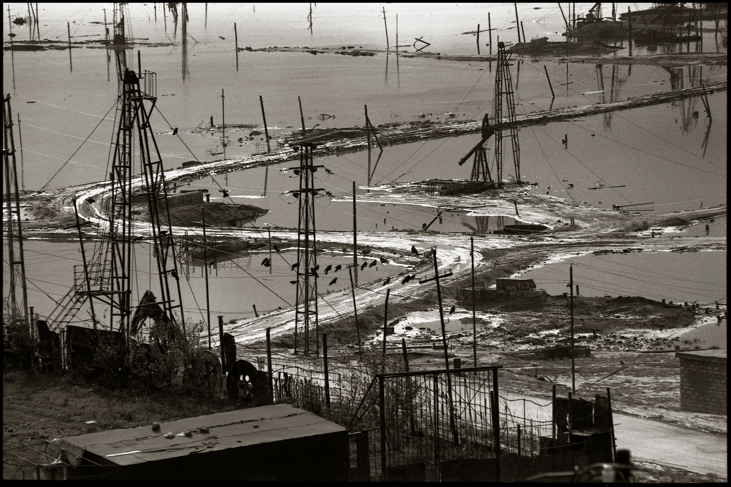 FIELD OF THE MASTER. Www.sananaleskerov.com