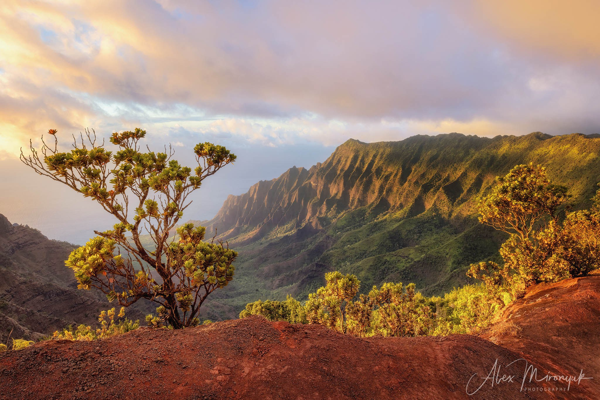 Kauai Photo Workshop