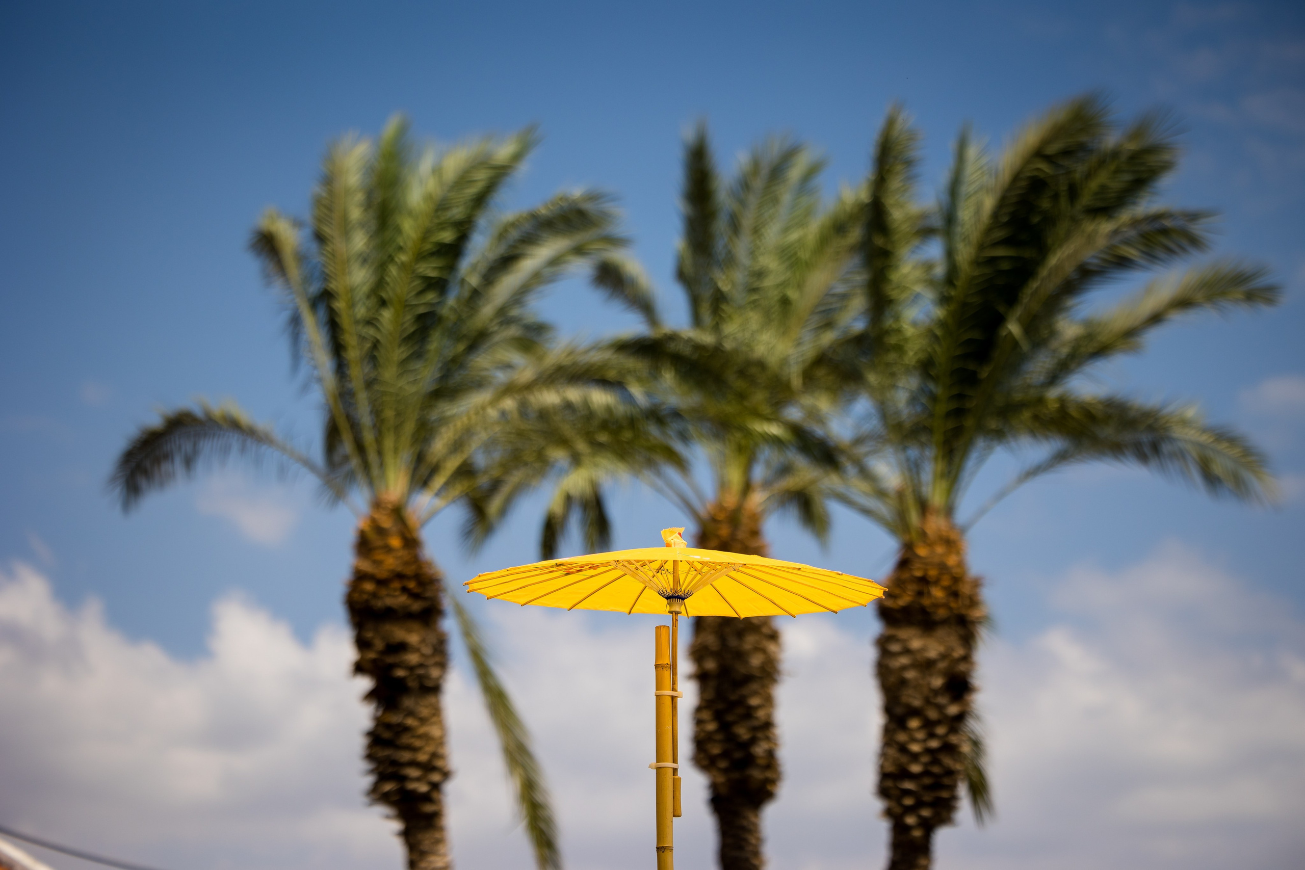 AMIR BUCHNIK PHOTOGRAPHER