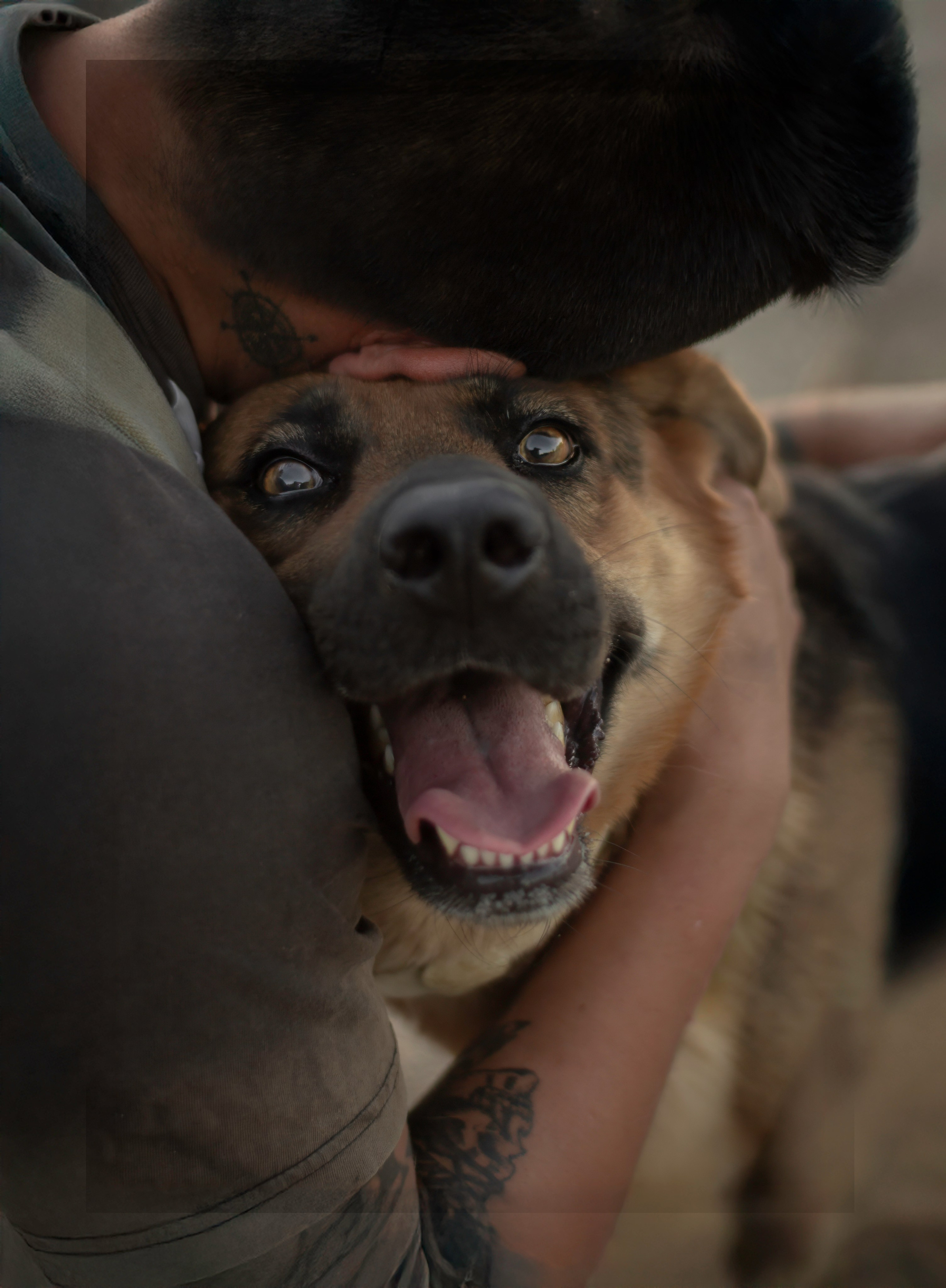 Fotos con huella, fotografía de perros y mascotas en Sevilla