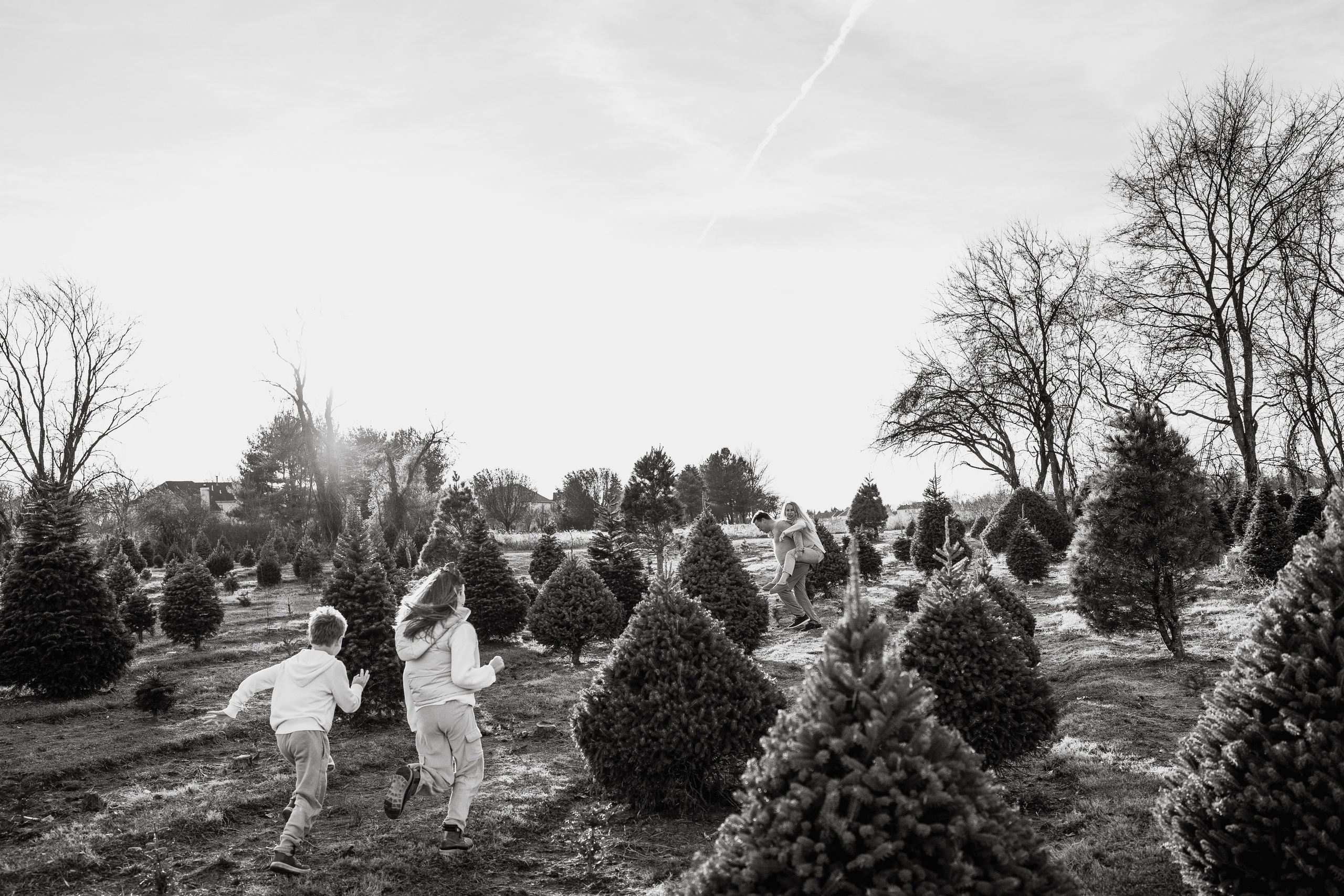 Christmas Farm Family Photoshoot – Magical Holiday Memories. Alisa Tant — Family and newborn photographer Bucks County, Montgomery county, Philadelphia, NJ