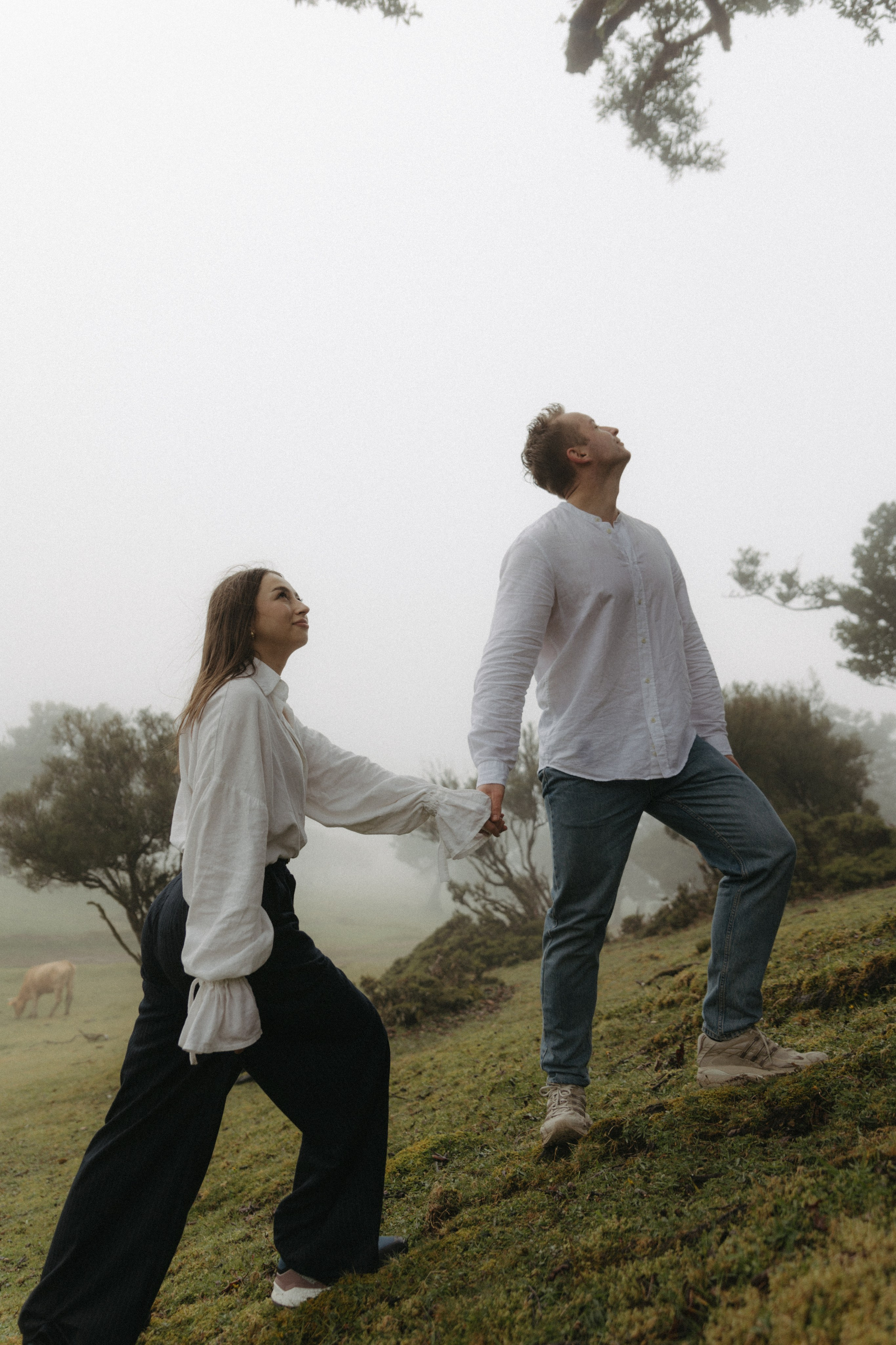 Magic of Fanal Forest. Wedding photographer and videographer based in Timisoara, Romania
