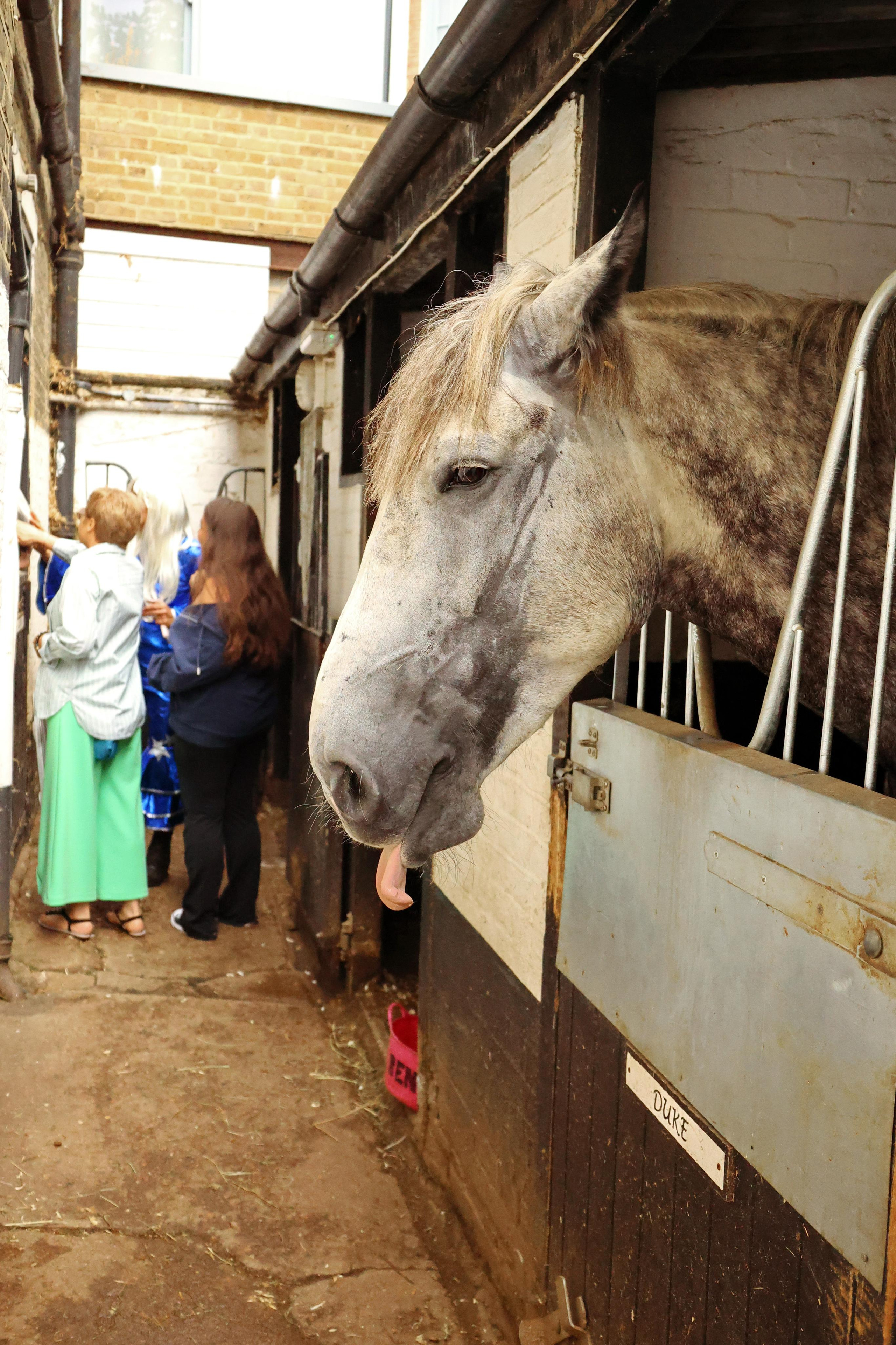 Charity ride Wimbledon Stables. Couples and portraits photographer Wimbledon London